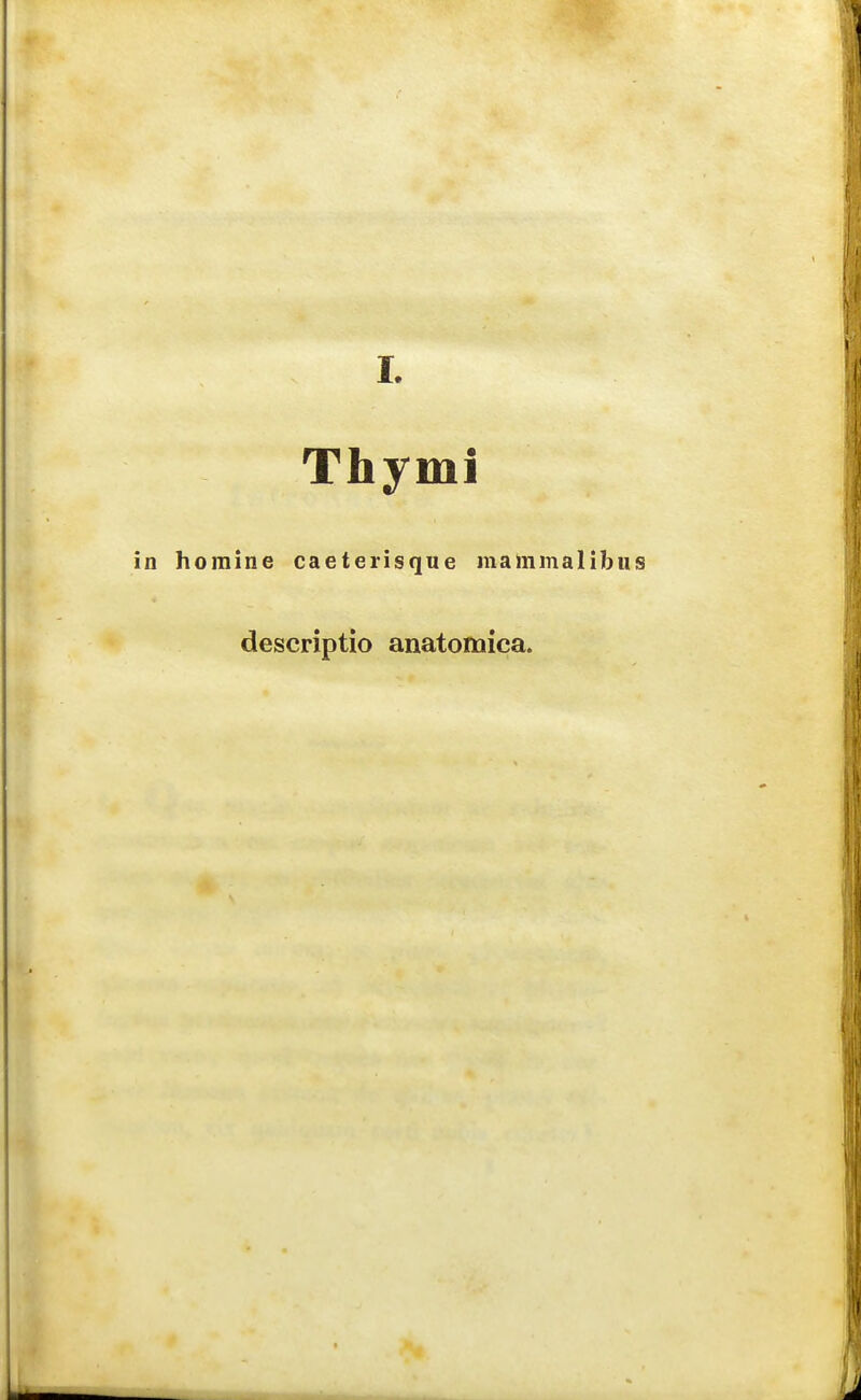 Thymi in homine caeterisque mammalibus descriptio anatomica.