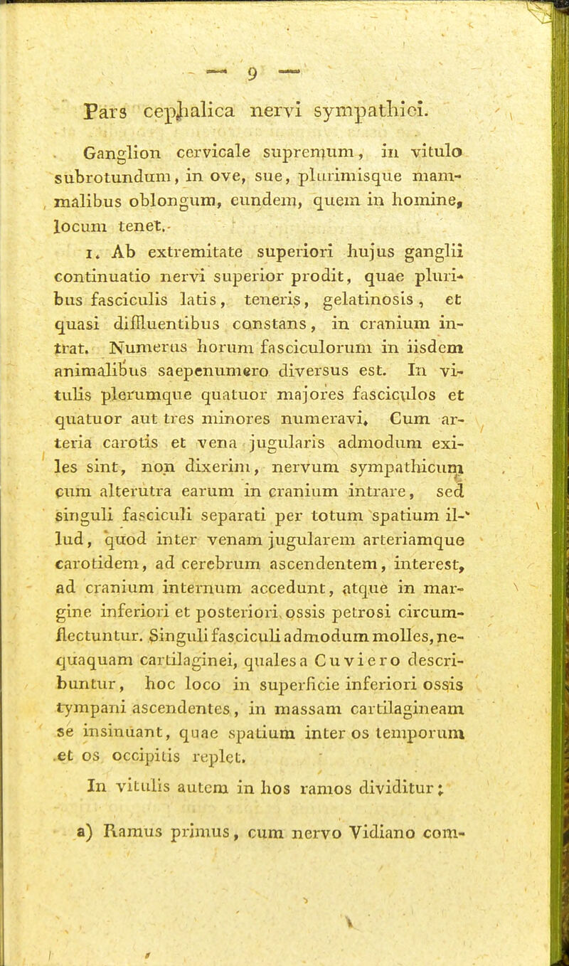 Pars cepjialica nervi synipatliici. Ganglion cervicale suprenjum, in vitulo subrotunduni, in ove, sue, plurimisque niam- , malibus oblongum, eundem, quem in homine, locum tenet,- I» Ab extremitate superiori hujus ganglii continuatio nervi supeiior prodit, quae pluri-» bus fasciculis latis, teueris, gelatinosis, et quasi diifluentibus constans, in cranium in- trat. Numerus horum fasciculorum in iisdem animalibus saepenumero diversus est. In vi- tulis plerumque quatuor majores fasciculos et quatuor aut tres minores numeravi, Gum ar- teria carotis et vena jugularis admodum exi- les sint, non dixerim, nervum sympathicum cum alterutra earum in eranium intrare, sea singuli fasciculi separati per totum spatium il-' lud, *quod inter venam jugularem arteriamque carotidem, ad cerebrum ascendentem, interest, ad cianium internum accedunt, atque in mar- gine inferiori et posterioii.ossis petrosi circum- flectuntur. Singuli fasciculi admodum moUes, ne- quaquam cartilaginei, qualesa Cuviero descri- buntiu, hoc loco in superficie inferiori ossis tympani ascendentes, in massam cartilagineam se insinuant, quae spatium inter os temporum .et os occipitis replet. In vitulis autcm in hos ramos dividitur; a) Ramus primus, cum nervo Vidiano com- V