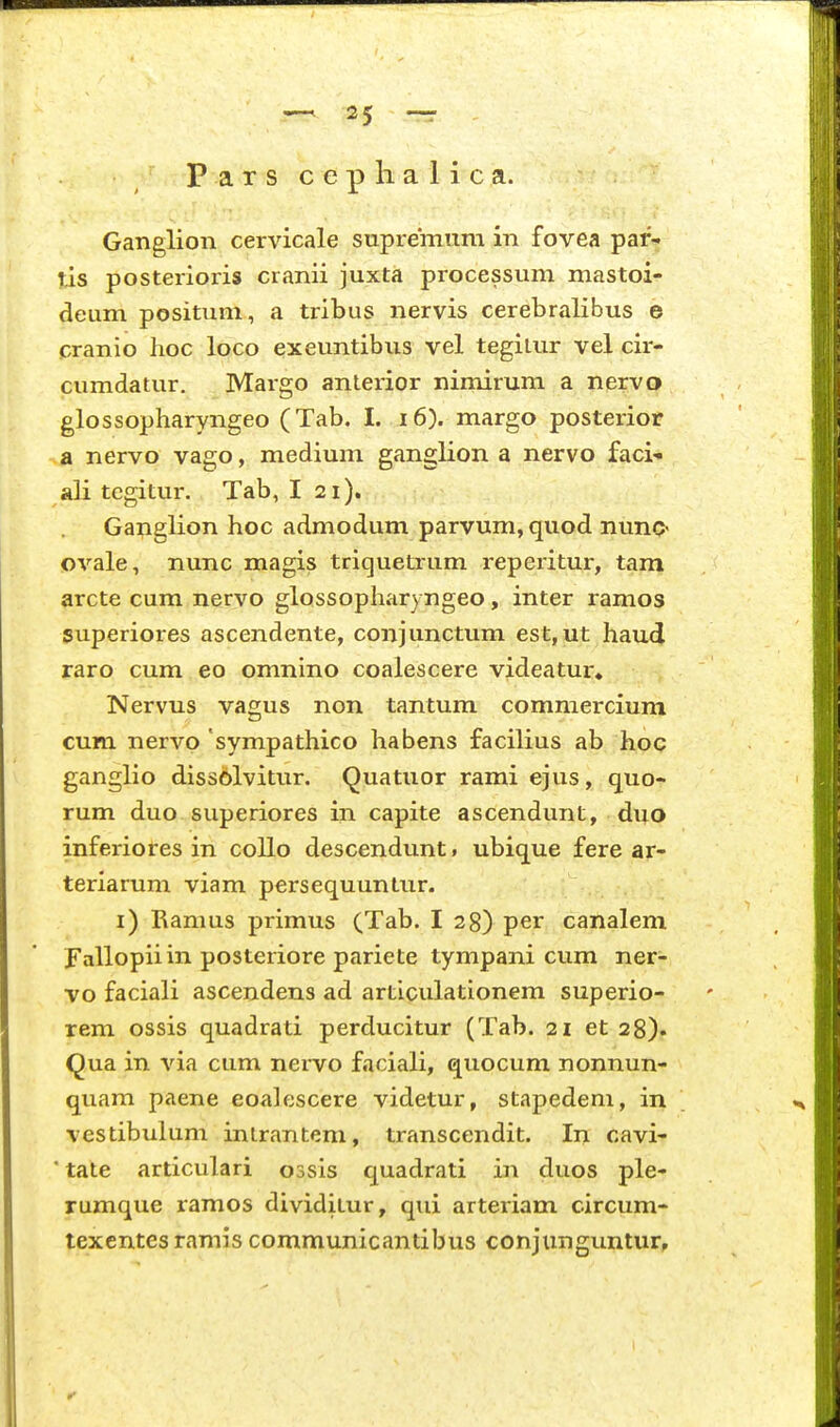 P a r s c e p li a 1 i c a. Ganglion cervicale supremum in fovea paf- tis posterioris cranii juxta processum mastoi- deum positum, a tribus nervis cerebralibus e cranio hoc loco exeuntibus vel tegilur vel cir- cumdatur. Margo anlerior nimirum a nervo glossopharyngeo (Tab. I. i6). margo posteriof a nervo vago, medium ganglion a nervo faci- ali tegitur. Tab, I 21). Ganglion hoc admodum parvum, quod nuno ovale, nunc magis triquetrum reperitur, tam arcte cum nervo glossopharyngeo, inter ramos superiores ascendente, conjunctum est,ut haud raro cum eo omnino coalescere videatur« Nervus vagus non tantum commercium cum nervo sympathico habens facilius ab hoc ganglio dissolvitur. Quatuor rami ejus, quo- rum duo superiores in capite ascendunt, duo inferiores in collo descendunt 1 ubique fere ar- teriarum viam persequuntur. i) Ramus primus (Tab. I 28) per canalem Fallopiiin posteriore pariete tympani cum ner- vo faciali ascendens ad articulationem superio- rem ossis quadrati perducitur (Tab. 21 et 28). Qua in via cum nervo faciali, quocum nonnun- quam paene eoalescere videtur, stapedem, in vestibulum inirantem, transcendit. In cavi- ■ tate articulari ossis quadrati in duos ple- rumque ramos dividitur, qui arteriam circum- texentes ramis communicantibus conjunguntur.