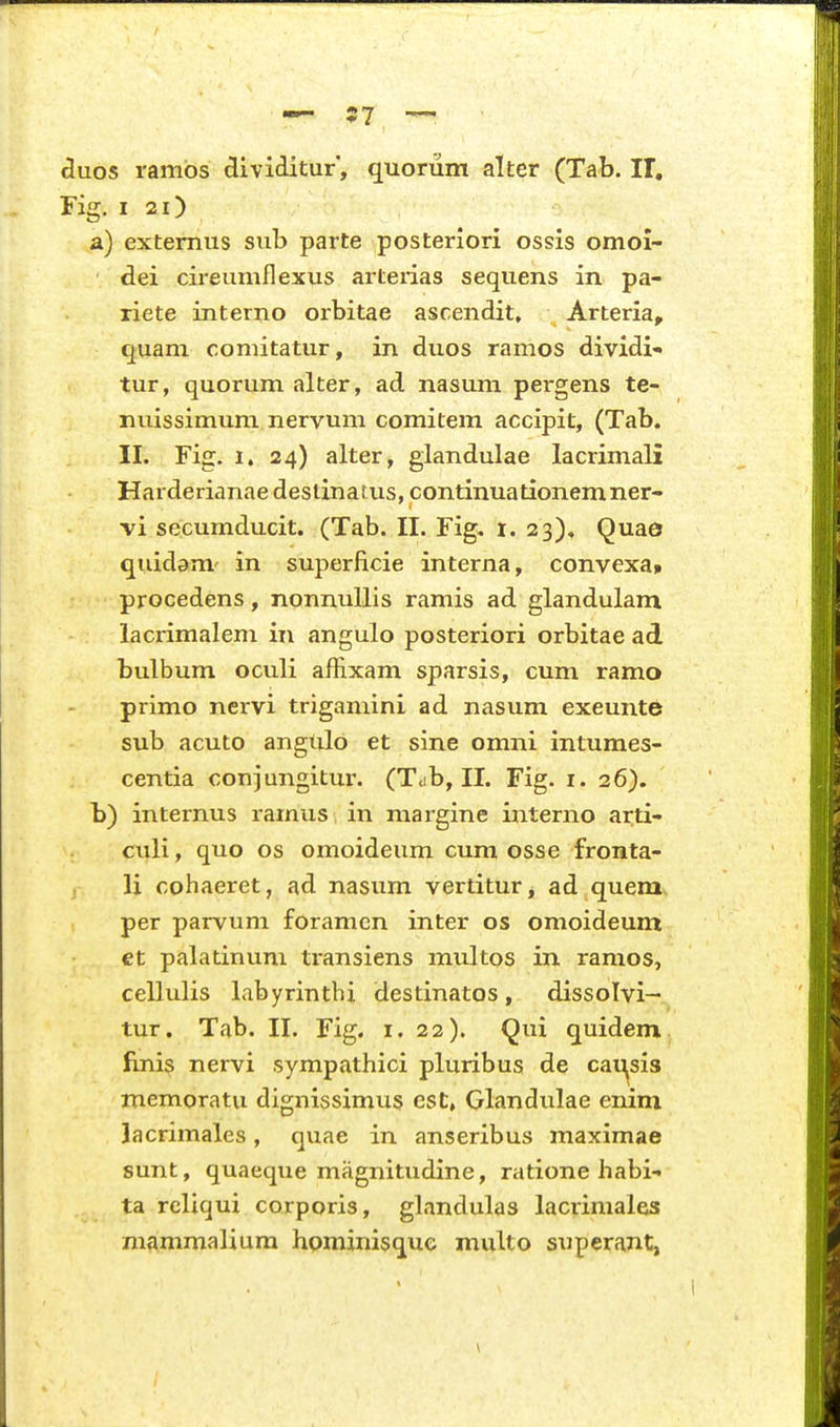 duos rambs dividitur, quorum alter (Tab. IT, Fig. I 2i) a) extemus sub parte posteriori ossis omol- dei cireumflexus arterias sequens in pa- riete interno orbitae ascendit, Arteria, quam comitatur, in duos ramos dividi- tur, quorum alter, ad nasum pei-gens te- nuissimum nervum comitem accipit, (Tab. II. Fig. 1. 24) alter, glandulae lacrimali Harderianae destinatus, continuationemner- vi secumducit. (Tab. II. Fig. i. 23), Quae quidam' in superficie interna, convexa» procedens, nonnuUis ramis ad glandulam lacrimalem in angulo posteriori orbitae ad bulbum oculi affixam sparsis, cum ramo primo nervi trigamini ad nasum exeunte sub acuto angulo et sine omni intumes- centia conjungitur. (T<ib, II. Fig. i. 26). b) internus ramus in niargine interno arti- culi, quo os omoideum cum osse fronta- li cohaeret, ad nasum vertitur, ad quem- per parvum foramcn inter os omoideum et palatinum transiens multos in ramos, cellulis labyrinthi destinatos, dissolvi- tur. Tab. II. Fig. i. 22). Qni quidem finis nervi sympathici pluribus de cai^sis memoratu dignissimus est, Glandulae enini lacrimales, quae in anseribus maximae sunt, quaeque magnitudine, ratione habi- ta reliqui corporis, glandulas lacrimales mammalium hpminisque multo superant,