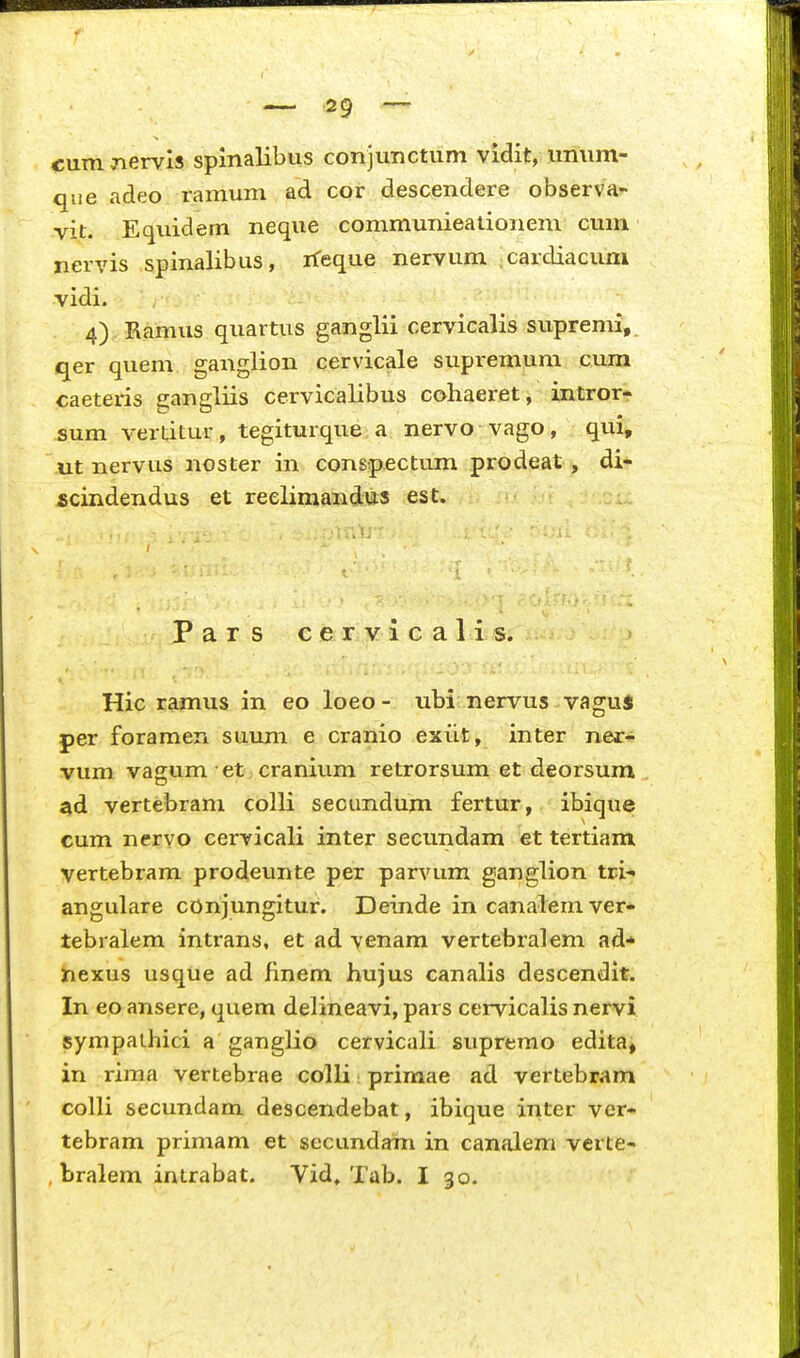 cum nervls splnalibus conjunctum vidit, umim- que adeo ramum ad cor descendere observa- vit. Equidem neque communieationem cum nervis spinalibus, rfeque nervum cardiacum vidi. 4) Ramus quartus ganglii cervicalis supremi,. qer quem ganglion cervicale supremum cum caeteris gangliis cervicalibus cohaeret, intror- sum vertitur, tegiturque a nervo vago, qui, ut nervus noster in conspectum prodeat, di- scindendus et reelimandus est. Pars cervicalis. Hic ramus in eo loeo- ubi nervus vagui per foramen suum e cranio exiit , inter ner^ vum vagum et cranium retrorsum et deorsum ad vertebram colli secundum fertur, ibique cum nervo cervicali inter secundam et tertiam vertebram prodeunte per parvum ganglion tri- angulare cOnjungitur. Deinde in canalem ver- tebralem intrans, et ad venam vertebralem ad-* nexus usque ad finem hujus canalis descendit. In eo ansere, quem delineavi, pars cervicalis nervi sympaihici a ganglio cervicali supremo edita, in rima vertebrae colli primae ad vertebram colli secundam descendebat, ibique inter ver- tebram primam et secundam in canalem verte- bralem intrabat. Vid, Tab. I 30.