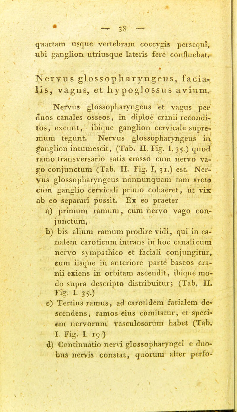 qnartam usque vertebrajn coccygis perseqtii, ubi ganglion utriusque Literis fere coniluebat.- m Nervus glossopharyngeus, fsicia- lis, vagus, et hypoglossus avium. Nervus glossopharyngeus et vagus per ^uos canales osseos, in diploe cranii recondi- tos, exeiint, ibique ganglion cervicale supre- mum tegunt. Nervus glossopharyngeus in, ganglion intuniescit, (Tab. II. Fig. 1,35 ) quod ramo transversario satis crasso cum nervo va- go conjunctum (Tab. II. Fig. I, 31,) est. Ner- vus glossopharyngeus nonnunquam tam arcto cum ganglio cervicali primo cohaeret, ut vix ab eo separari possit. Ex eo praeter a) primum ramum, cum nervo vago con- junctum, b) bis alium ramum prodire vidi, qui in ca- nalem caroticuni intrans in hoc canalicum nervo sympathico et faciali conjungitur, cum iisque in anteriore parte baseos cra- nii exiens in orbitam ascendit, ibique mo- do supra descripto distribuitur; (Tab, II. Fig. I. 3 5-) c) Tertius ramus , ad carotidem facialem de- scendens, ramos eius comitatur, et speci- em nervorum vasculosorum habet (Tab. I. Fig. I 19 ) Continuatio nervi glossopharyngel e dno- bus nervis constat, quonmi alter perfo-