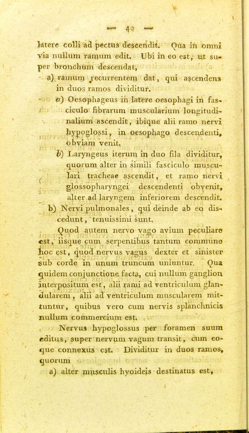 lAtexe colli ad pectus descendit. Qiia ih omni via nullum ramum edit. Ubi in eo est,* ut su» per bronchum descendat, ii),ramun^ jrecurrentern dat, qui ascenden» in duoa ramos dividitur, g) Oesophageus iri latere oesophagi in fas- ciculo fibrarum muscularium longitudi-. naliuni ascendit, ibique alii ranio ncrvx hy^oglpssi , in oesophago descendenti, obyiam venit, }?) Laryngeus iteruin in duo fila dividitur, quorum alter in simili fasciculo muscu- , lari tracheae ascendit, et ramo nervi glossopharyngei descendenti obyenit, alter ad Liryngem inferiorem descendit, b) Nervi pulmonales, qui deinde ab eo dis- cedunt, tenuissimi sunt, QuQd autem nervo vago avium peculiaro «St, iisque Qum serpentib.us tantimi commune iioc est, quod nervus vagus dexter et sinister sub corde in xmum truncum uniuntur. Oua quidem conjunctione fact^i, cui nullum ganglion interpQsitum est, alii rami ad ventricuhun glan- dulareni , alii ad ventriculum muscularem mit- tuntur, quibus vero cum nervis splanchnicis nulluni commercium est, Nervus hypoglossus per foramen suum «ditus, super nervum vagum transit, cum eo- que connexus cst, Dividitur in duos ramos, quorimi 3) alter jiiusculis hyoideis destinatus est,