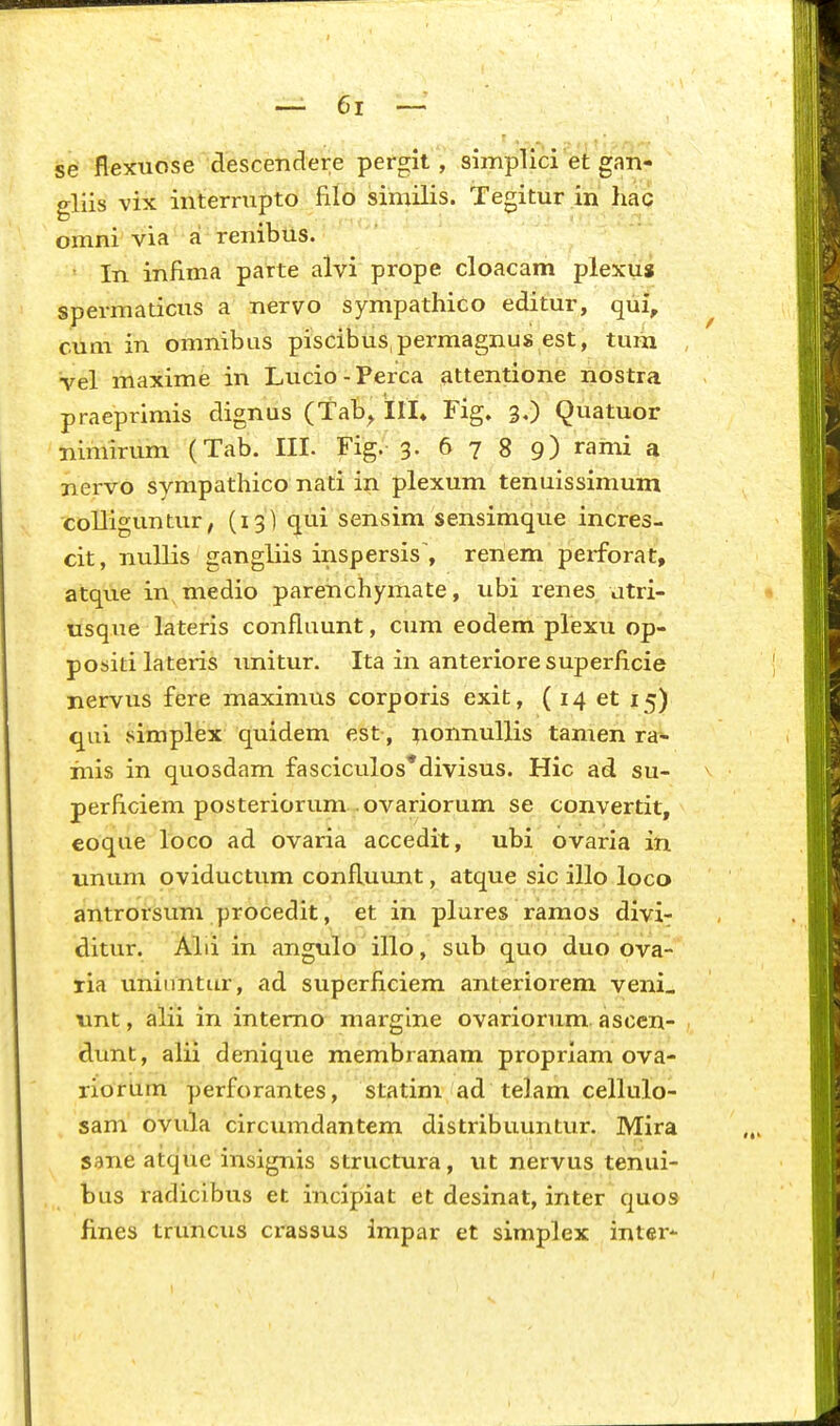 se flexiiose descendere pergit, simplici et gan- gliis vix interrupto filo similis. Tegitur in liac omni via a renibus. In inflma parte alvi prope cloacam plexus spermaticus a nervo sympathico editur, qui, ^ cum in omnibus piscibus^permagnus est, tum , vel maxime in Lucio-Perca attentione nostra praeprimis dignus (Tab^ ill» Fig» 3.) Quatuor nimirum (Tab. III. Fig. 3. 678 9) mi a nervo sympathico nati in plexum tenuissimum colliguntur, (13) cj^ui sensim sensimque incres- cit, nullis gangliis inspersis\ renem perforat, atque in medio parenchymate, ubi renes utri- • usque lateris confiuunt, cum eodem plexu op- positi lateris imitur. Ita in anteriore superficie ! nervus fere maximus corporis exit, ( 14 et 15) qui simplex quidem est, ^onnullis tamen ra- mis in quosdam fasciculos*divisus. Hic ad su- perficiem posteriorum ovariorum se convertit, eoque loco ad ovaria accedit, ubi ovaria in unum oviductum confluunt, atque sic illo loco antrorsum procedit, et ih plures ramos divi- ditur. Alii in angulo illo, sub quo duo ova- ria uniiintur, ad superficiem anteriorem veni. tmt, alii in intemo marglne ovariorum ascen- dunt, alii denique membranam propriam ova- rioriirn perforantes, statim ad telam cellulo- sam ovula circumdantem distribuuntur. Mira ... sane atque insignis structura, ut nervus tenui- bus radicibus et incipiat et desinat, inter quos fines truncus crassus impar et simplex intei-'-