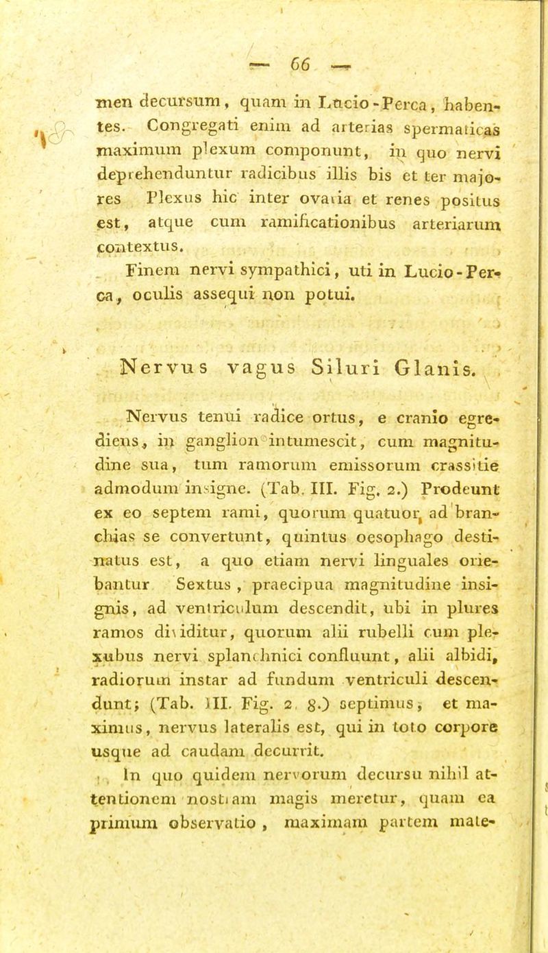 ■nien decursum, quam in Lttcio -Perca, haben- tes. Congregati enixn ad arterias spermaticas maximum plexum componunt, in quo nervi depiehenduntur radicibus illis bis et ter majo- res Plexiis hic inter ovaiia et renes positus est, atque cum ramificationibus arteriarum contextus. Finem nervi sympathici, uti in Lucio-Per- ca, oculis assequi non potui. Nervus vagus Siluri Glanls. Nervus tenui radice ortus, e cranlo egre- diens, in ganglion intumescit, cum magnitu- dine sua, tum ramorum emissorum crassitie admodum insigne. (Tah, IIL Fig. 2.) Prodeunt ex eo septem rami, quorum quatuor, ad bran- chias se convertunt, quintus oesophago desti- natus est, a quo etiam nervi linguales orie- bantur Sextus , praecipua magnitudine insi- gnis, ad veniriciilum descendit, ubi in plures ramos di\iditur, quorum alii rubelli cum ple- xubus nervi spLinc hnici confluunt, alii albidi, radiorum instar ad fundum ventriculi descen- dunt; (Tab. ill. Fig. 2, g.) septimus, et ma- ximus, nervus lateralis est, qui in toto corpore usque ad caudani decurrit. In quo quidem nervorum decursu nihil at- tentionem nostiam magis merctur, quam ca primum observatio , maximam partem maie-