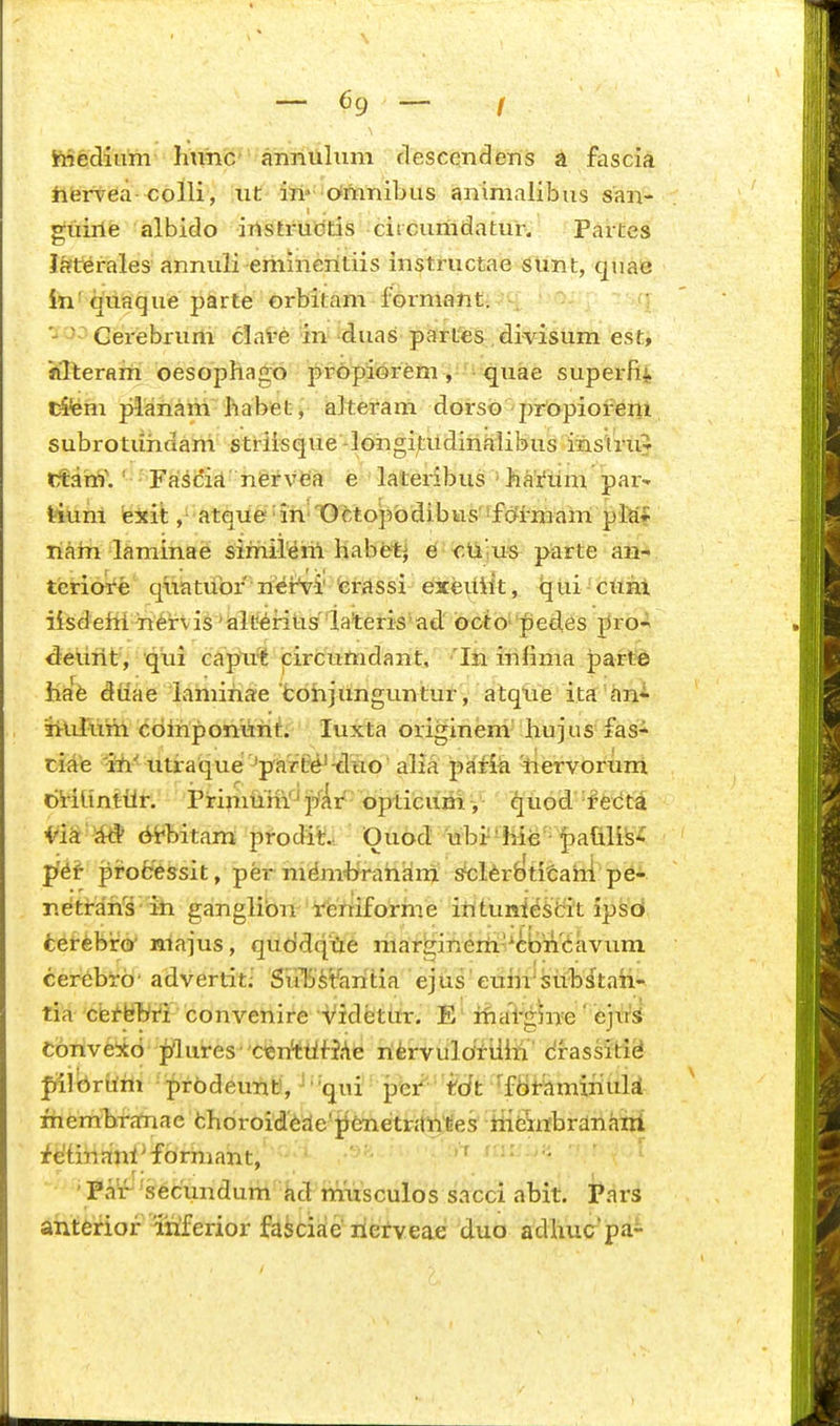 •\ ftiedium hniic annulum rlescendens ^ fascia hervea colli, iit iri* oimnibus aninialibus san- guiile albido irtstruGtis ciicumdatur. Partes laterales annuli emineritiis instructae stint, quafe in' quaque parte orbitam formant;-;. vt, ■ '- - Gerebrum clate in duas partes, divisum est, Klteram oesophagb pr6pi©rem ' • quae superfii tifem planam habetj aheram dorsb prbpioreni subroturidam striisque -lorigitildinalibus iristru? tfahi\ ' Fascict niervfea e lateribus ■ hai^um par^ tiuni iexifc , atque'in' 'OMopbdibus' «fcfrmam plii? riarii laminae siriiiieril habet| ^ <;iiiu« parte an- tcriore qriatuor rierVi' ferassi exeriilt, ijui-ctml iisderil rier\is'ale^riUs lateris'ad bcto''fiedes ^ro^ <5eurit',; capu^ circuriidarit, 'Iri irifima par^ ha^^fe diiae lariiiriae fcohjunguntur, atqrie ita'hni liiiTurii cbiriponurit. luxta originem hujus fas- ciae 'iri'' utraque 'Jpar't?e^-drio' alia paM^ ^iervoruni bHhntilr. PnmuWJ j/Ai^ opticum, quod-f ect^ irik -iSi bi*bitam prodit- Quod ubr'lii^'-pahliS'; ly^J- processit, per nidnibirariam Scl6rb^ti£arii pe- r.etra'ns' iri ganglibn'Vferiiforriie iritunie^tit ipsd ierebiro' niajus, qubdqrie riiargineriii^BiiCavuni cerebrb' advertit; SiiTS'^tahtia'ejus'euhi'sitbstaii- tia cbi-biyri convenire •v/idetifr. E' iftal'gln'e' ejirS Cbnvexb ;plures'oeiAtlf-fAe ri^irvulbrtliri' drassitiB Jrllbrhrti ■ prbdeunt, '' qui '■ j^et' tdt '^ftJtamihuli ihembranae fchoroidede'j^ienetrjhl^^es hieiribranairi fetinani^forriiant, ' ' Par ''secundum ad musculos sacci abit. Pars ahtefior ihferior fasciaie rietYeae duo adhuc'pa-