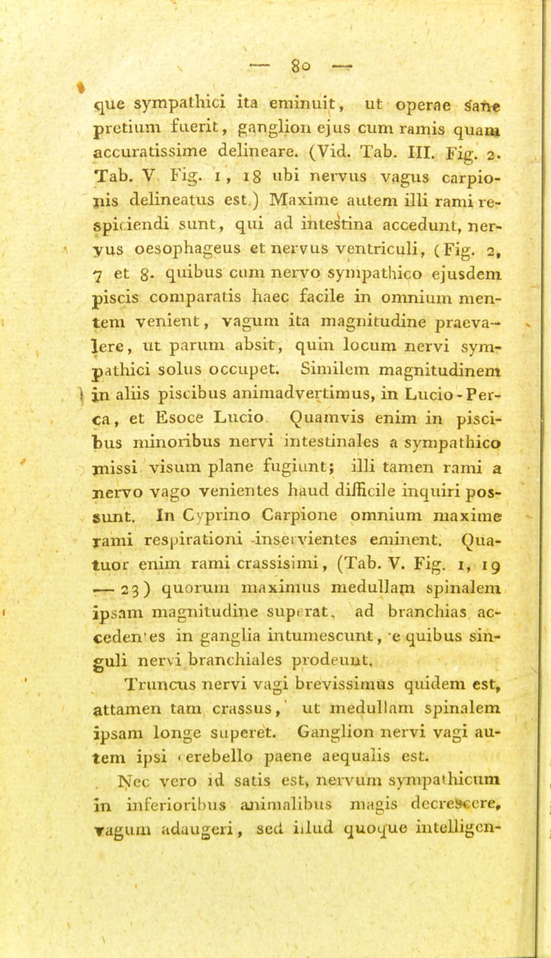 que sympathici ita eminuit, ut operae ^afie pretium fuerit, ganglion ejus cum ramis quan* accuratissime delineare. (Vid. Tab. III. Fig. 3. Tab. V Fig. i, 18 ubi nervus vagus carpio- pis delineatus est) Maxime autem ilU rami re- spiciendi sunt, qui ad intestina accedunt, ner- yus oesophageus et nervus ventriculi, (Fig. 2, 7 et 8« quibus cum nervo sympathico ejusdeni piscis comparatis haec facile in omnium men- tem venient, vagum ita magnitudine praeva- lere, tit parum absit, quin locum nervi sym- pathici solus occupet. Similem magnitudinem \ in aliis piscibus animadvertimus, in Lucio-Per- ca, et Esoce Lucio, Quamvis enim in pisci- bus niinoribus nervi intestinales a sympathico jnissi visum plane fugiunt; illi tamen rami a jiervo vago venientes haud difficile inquiri pos- sunt. In Cyprino Carpione omnium maxime yami respirationi -inservientes eminent. Qua- tuor enim rami crassisimi, (Tab. V. Fig. i, 19 -^23) quorum maximus medullapi spinalem ips.im magnitudine supt rat, ad branchias ac- ceden'es in ganglia intumescunt, e quibus sin- guli nervi branchiales prodeunt. Truncus nervi vagi brevissimiis quidem est, attamen tam crassus, ut medullam spinalem ipsam longe superet. Ganglion nervi vagi au- tem ipsi « erebello paene aequalis est. Nec vero id satis est> nervum sympaihicum in inferioril)US animalibus magis decre»cere, Yagum adaugeri, sed iJud quoque inteiligcn-
