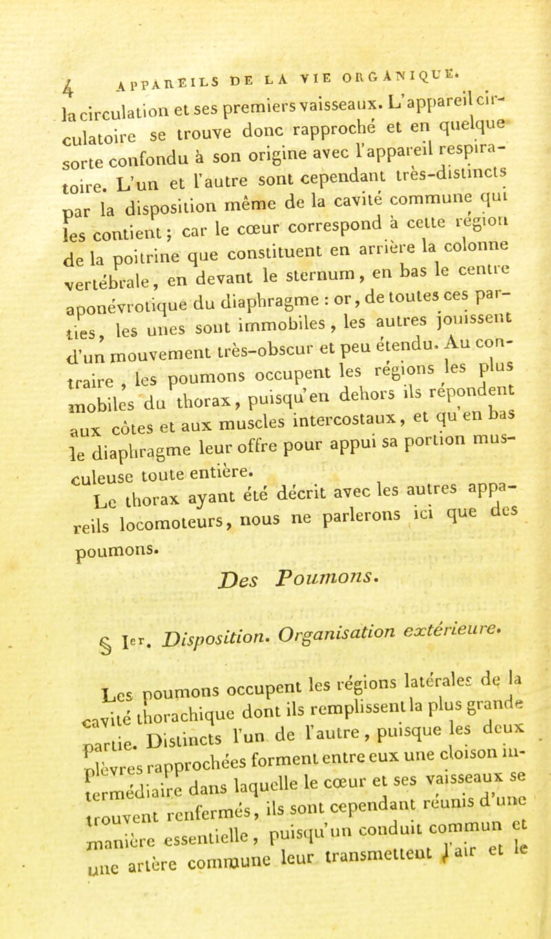 kcirculation et ses premiers vaisseaux. L'appareil cir- culatoire se trouve donc rapproché et en quelque sorte confondu à son origine avec l'appareil respira- toire. L'un et l'autre sont cependant très-disimcts par la disposition même de la cavité commune qui les contient ; car le cœur correspond à cette région delà poitrine que constituent en arrière la colonne vertébrale, en devant le sternum, en bas le centre aponévrotique du diaphragme : or, de toutes ces par- ties, les unes sont immobiles, les autres jouissent d'un mouvement très-obscur et peu étendu. Au cou- traire les poumons occupem les régions les plus r:bUe's du'thora., puisqu'en dehors Us r pond - aux côtes et aux muscles intercostaux, et qu en bas le diaphragme leur offre pour appui sa portion mus- culeuse toute entière. Le thorax ayant été décrit avec les autres appa- reils locomoteurs, nous ne parlerons ici que des poumons. Des Poumons. § I.r. Disposition. Organisation extérieure. Les poumons occupent les régions latérales de k «vite thorachique dont ils rempLssentla plus grands Tartie. Distincts l'un de l'autre, pu.sque les deuK Sèvres rapprochées forment entre eux une cloison u.- f midiaire dans laquelle le cœur et ses va.sseaux s trouvent renfermés, ils sont cependant reums d une Tondre essentielle, puisqu'un condu.t commun artère commune leur transmettent Ja.r et le