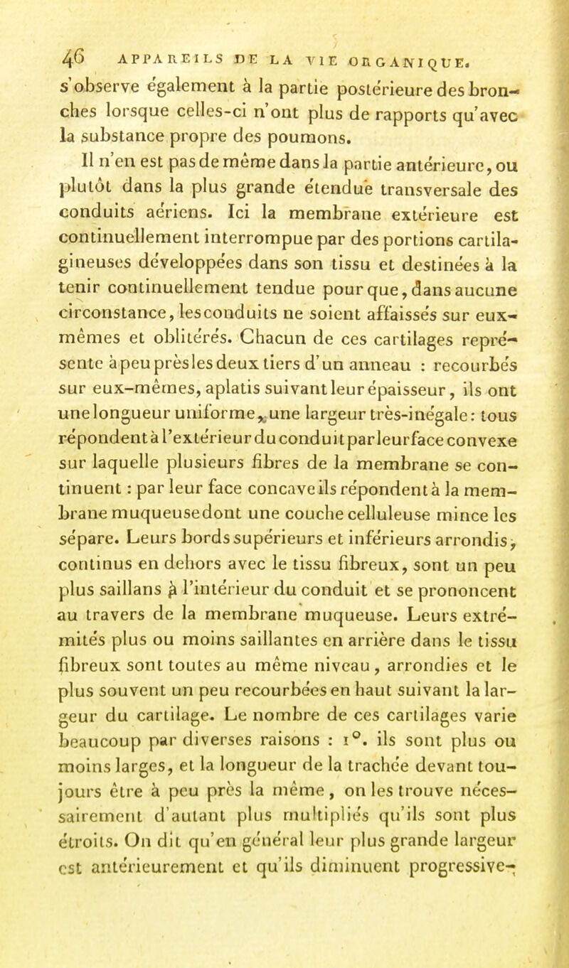 s'observe également à la partie postérieure des bron- ches lorsque celles-ci n'ont plus de rapports qu'avec la substance propre des poumons. Il n'en est pas de même dans la partie antérieure, ou plutôt dans la plus grande étendue transversale des conduits aériens. Ici la membrane extérieure est continuellement interrompue par des portions cartila- gineuses développées dans son tissu et destinées à la tenir continuellement tendue pour que, dans aucune circonstance, lesconduits ne soient affaissés sur eux- mêmes et oblitérés. Chacun de ces cartilages repré- sente à peu prèsies deux tiers d'un anneau : recourbés sur eux-mêmes, aplatis suivant leur épaisseur, ils ont unelongueur uniforme,;Une largeur très-inégale: tous répondent à l'extérieur du conduit parleurface convexe sur laquelle plusieurs fibres de la membrane se con- tinuent : par leur face concave ils répondent à la mem- brane muqueusedont une couche celluleuse mince les sépare. Leurs bords supérieurs et inférieurs arrondis > continus en dehors avec le tissu fibreux, sont un peu plus saillans ^ l'intérieur du conduit et se prononcent au travers de la membrane muqueuse. Leurs extré- mités plus ou moins saillantes en arrière dans le tissu fibreux sont toutes au même niveau , arrondies et le plus souvent un peu recourbées en haut suivant la lar- geur du cartilage. Le nombre de ces cartilages varie beaucoup par diverses raisons : i°. ils sont plus ou moins larges, et la longueur de la trachée devant tou- jours être à peu près la même, on les trouve néces- sairement d'autant plus multipliés qu'ils sont plus étroits. On dit qu'en général leur plus grande largeur est antérieurement et qu'ils diminuent progressive-