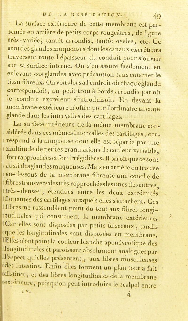 La surface extérieure de cette membrane est par- seme'e en arrière de petits corps rougcâires, de figure très-variée, tantôt arrondis, tantôt ovales, etc. Ce sontdesglandes muqueuses donllescanaux excre'teurs traversent toute l'épaisseur du conduit pour s'ouvrir sur sa surface interne. On s'en assure facilement en enlevant ces glandes avec précaution sans entamer le tissu fibreux. On voitalors à l'endroit oii chaqueglande correspondoit, un petit trou à bords arrondis par où le conduit excre'teur s'introduisoit. En devant la membrane extérieure n'offre pour l'ordinaire aucurjie glande dans les intervalles des cartilages, La surface intérieure de la même membrane con- . side're'e dans ces mêmes intervalles des cartilages, cor- I respond à la muqueuse dont elle est séparée par une 1 multitude de petites granulations de couleur variable, : fort rapprochées et fort irrégui ières. Il pa roit que ce sont i aussi des glandes muqueuses. Mais en arrière on trouve î au-dessous de la membrane fibreuse une couche de I fibres transversales très-rapprochées les unes des autres itrès-denses , étendues entre les deux extrémités' i flottantes des cartilages auxquels elles s'attachent. Ces • tfibres ne ressemblent point du tout aux fibres longi- ttudinales qui constituent la membrane extérieure. (Car elles sont disposées par petits faisceaux, tandis cque les longitudinales sont disposées en membrane. lEIiesn'ontpointla couleur blanche aponévrolique des l'iongitudinales et paroissent absolument analogues par ll'aspect qu'elles présentent , aux fibres muscuîeuses ddes intestins. Enfin elles forment un plan tout à fait ddistinct, et des fibres longitudinales delà membrane ■extérieure, puisqu'on peut introduire le scalpel entre 4