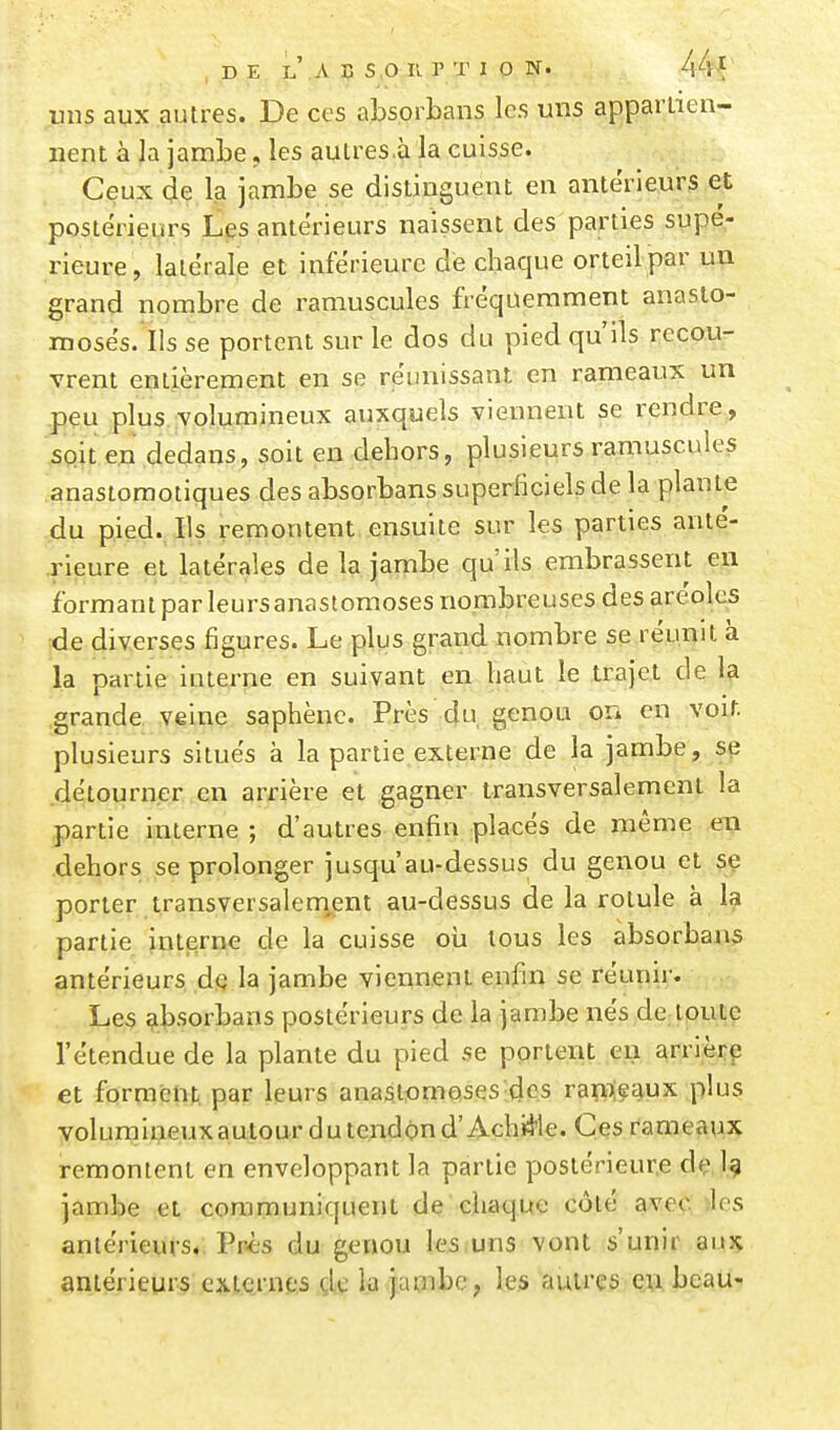 DE l'a Ç S,OU r T I 0 N. 44f uns aux autres. De ces absorbans les uns apparlien- nent à la jambe, les aulres.à la cuisse. Ceux 4e la jambe se distinguent en antérieurs et postérieurs Les antérieurs naissent des parties supé- rieure, latérale et inférieure dé chaque orteil par un grand nombre de raniuscules fréquemment anasto- moses. Ils se portent sur le dos du pied qu'ils recou- vrent entièrement en se reunissant en rameaux un j)eu plus volumineux auxquels viennent se rendre, sqit en dedans, soit en dehors, plusieurs raniuscules anasiomotiques des absorbans superficiels de la plante du pied. Ils remontent ensuite sur les parties anté- rieure et latérales de la jambe qu'ils embrassent en formant par leursanastomoses nombreuses des aréoles de diverses figures. Le plus grand nombre se réunit à la partie interne en suivant en haut le trajet de la grande veine saphènc. Près du genou on en voir, plusieurs situés à la partie externe de la jambe, se détourner en arrière et gagner transversalement la partie interne ; d'autres enfin placés de même en dehors se prolonger jusqu'au-dessus du genou et sç porter transversalem^ent au-dessus de la rotule à la partie interne de la cuisse oii tous les absorbans antérieurs de la jambe viennent enfin se réunir. Les absorbans postérieurs de la jambe nés de toute l'étendue de la plante du pied se portent eu arrièrç et forment, par leurs anastomoses des ram;çaux plus yolumlneuxaulour du tendon d'Achille. Ces rameaux remontent en enveloppant la partie postérieur,e de. I.9 jambe et communiquent de  chaque côté avec vies antérieurs. Près du genou les,uns vont s'unir au:; anlérieurs externes de la jambe ; les autres en beau-