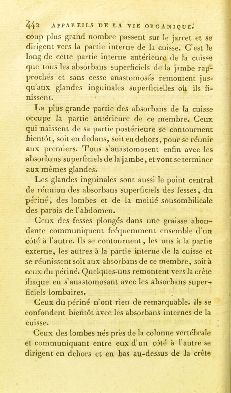 coup plus grand nombre passent sur le jarret et se dirigent vers la partie interne de la cuisse. C'est le ïong de cette partie interne antérieure de la cuis.«e que tous les absorbans superficiels de la jambe rap- proclie's et sans cesse anastomose's remontent jus- qu'aux glandes inguinales superficielles oii ils fi- nissent. La plus grande partie des absorbans de la cuisse occupe la partie ante'rieure de ce membre. Ceux qui naissent de sa partie postérieure se contournent Lientôt, soit en dedans, soit en dehors, pour se réunir aux premiers. Tous s'anastomosent enfin avec les absorbans superficiels de la jambe, et vont se terminer aux mêmes glandes. Les glandes inguinales sont aussi le point central de réunion des absorbans superficiels des fesses, du périné, des lombes et de la moitié sousombilicale des parois de l'abdomen. Ceux des fesses plongés dans une graisse abon- dante communiquent fréquemment ensemble d'un côté à l'autre. Ils se contournent, les uns à la partie externe, les autres à la partie interne de la cuisse et se réunissent soit aux absorbans de ce membre, soit à ceux du périné. Quelques-uns remontent vers la crête iliaque en s'anastomosant avec les absorbans super-» ficiels lombaires. Ceux du périné n'ont rien de remarquable, ils se confondent bientôt avec les absorbans internes de la cuisse. Ceux des lombes nés près de la colonne vertébrale et communiquant entre eux d'un côté à l'autre se dirigent en dehors et en bas au-dessus de la crête