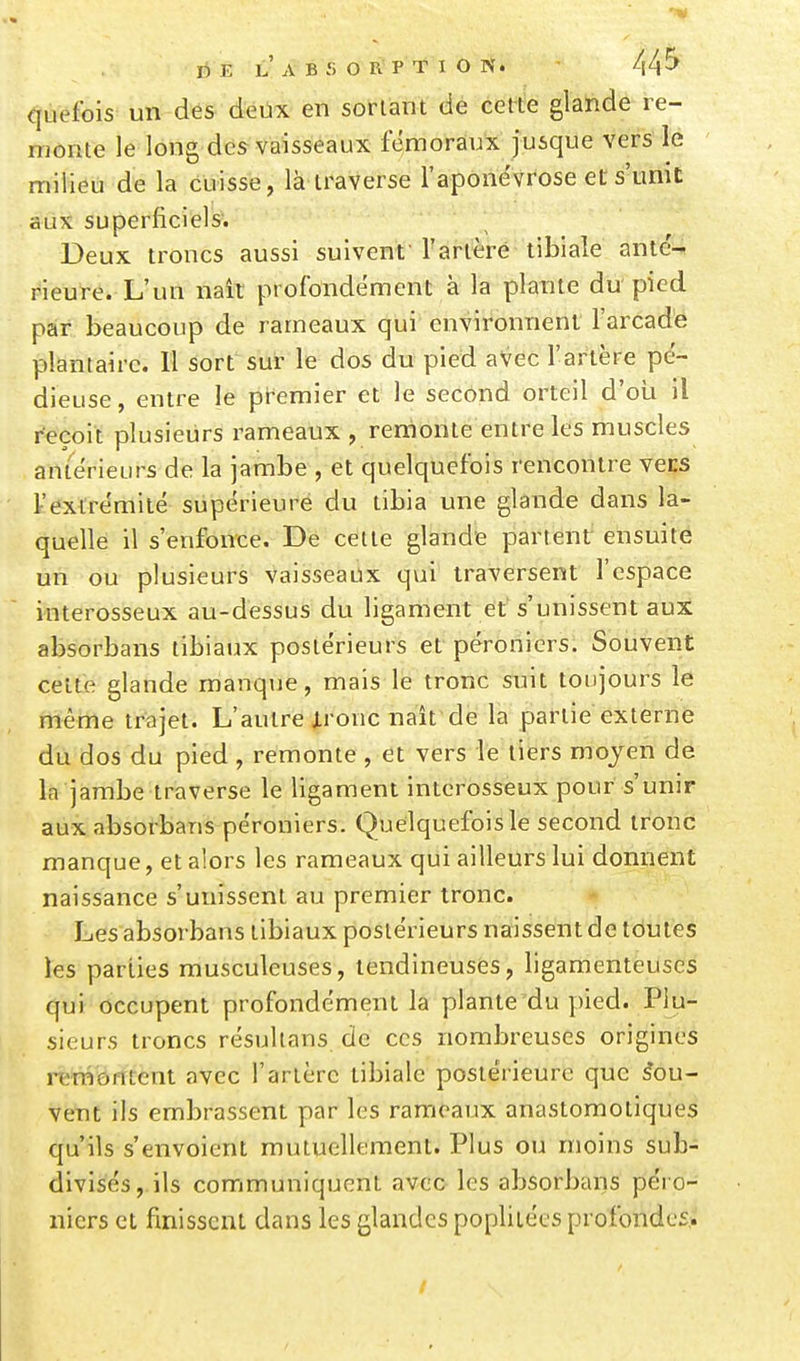 quefois un des détix en sortant dé cette glande re- monte le long des vaisseaux fémoraux jusque vers lé milieu de la cuisse, là traverse l'aponévrose et s'unit aux superficiels; Deux troncs aussi suivent l'artèré tibiale ante'^ rieure. L'un naît profondément à la plante du pied par beaucoup de rameaux qui environnent l'arcade plantaire. 11 sort sur le dos du pied aVec l'artère pé- dieuse, entre le premier et le second orteil d'où il reçoit plusieurs rameaux , remonte entre les muscles antérieurs de la jambe , et quelquefois rencontre vens l'extrémité supérieure du tibia une glande dans la- quelle il s'enfonce. De celte glande partent ensuite un ou plusieurs vaisseaux qui traversent l'espace interosseux au-dessus du ligament et' s'unissent aux absorbans libiaux postérieurs et péroniers. Souvent celte glande manque, mais le tronc suit toujours le même trajet. L'autre jlronc naît de la partie'externe du dos du pied , remonte , et vers lé tiers mojen de la jambe traverse le ligament interosseux pour s'unir aux absorbans péroniers. Quelquefois le second tronc manque, et alors les rameaux qui ailleurs lui donnent naissance s'unissent au premier tronc. Les absorbans tibiaux postérieurs naissent de toutes les parties musculeuses, tendineuses, ligamenteuses qui occupent profondément la plante'du pied. Plu- sieurs troncs résultans de ces nombreuses origines rern'ôfitent avec l'artère tibiale postérieure que Sou- vent ils embrassent par les rameaux anastomotiques qu'ils s'envoient mutuellement. Plus ou moins sub- divisés, ils communiquent avec les absorbans péro- niers cl finissent dans les glandes poplilécs profondes*