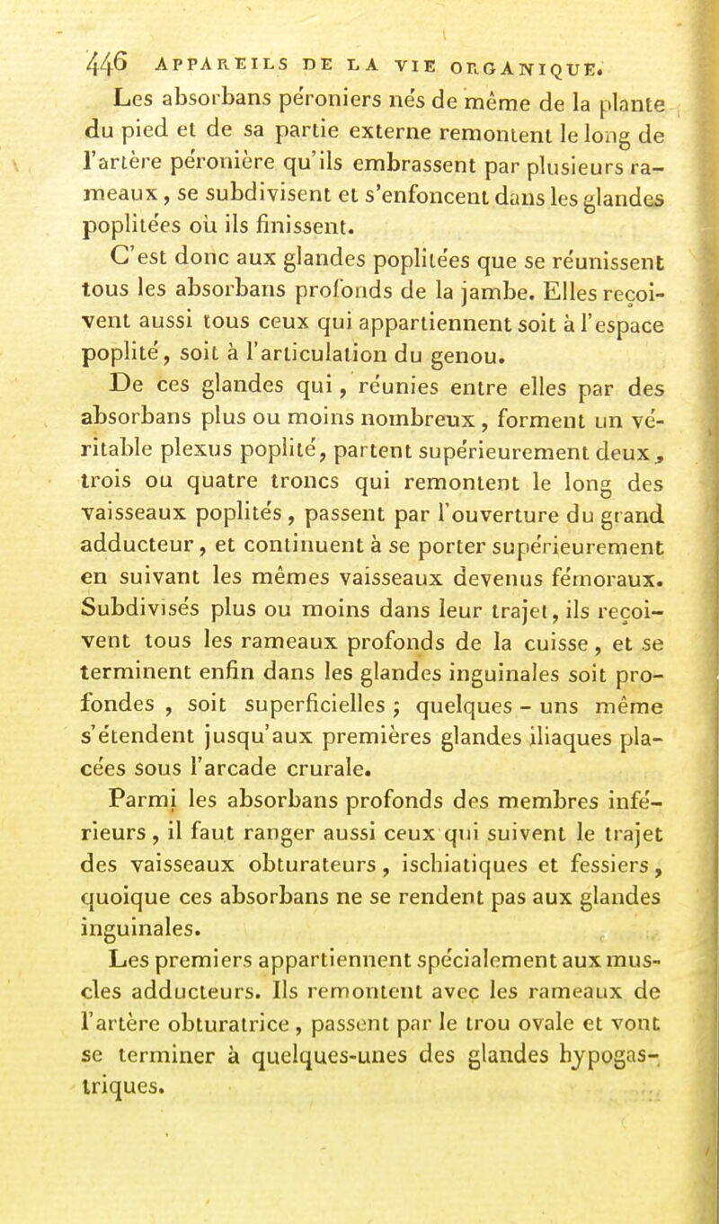 Les absorbans péroniers nés de même de la plante du pied et de sa partie externe remontent le long de l'artère përonière qu'ils embrassent par plusieurs ra- meaux , se subdivisent et s'enfoncent dans les glandes poplitëes oii ils finissent. C'est donc aux glandes poplitëes que se réunissent tous les absorbans profonds de la jambe. Elles reçoi- vent aussi tous ceux qui appartiennent soit à l'espace poplitë, soit à l'articulation du genou. De ces glandes qui, réunies entre elles par des absorbans plus ou moins nombreux , forment un vé- ritable plexus poplitë, partent supérieurement deux, trois ou quatre troncs qui remontent le long des vaisseaux poplitës, passent par l'ouverture du grand adducteur, et continuent à se porter supérieurement en suivant les mêmes vaisseaux devenus fémoraux. Subdivisés plus ou moins dans leur trajet, ils reçoi- vent tous les rameaux profonds de la cuisse, et se terminent enfin dans les glandes inguinales soit pro- fondes , soit superficielles ; quelques - uns même s'étendent jusqu'aux premières glandes iliaques pla- cées sous l'arcade crurale. Parmi les absorbans profonds des membres infé- rieurs, il faut ranger aussi ceux qui suivent le trajet des vaisseaux obturateurs, ischiatiques et fessiers, quoique ces absorbans ne se rendent pas aux glandes inguinales. Les premiers appartiennent spécialement aux mus- cles adducteurs. Ils remontent avec les rameaux de l'artère obturatrice , passent par le trou ovale et vont se terminer à quelques-unes des glandes hjpogas- iriques.