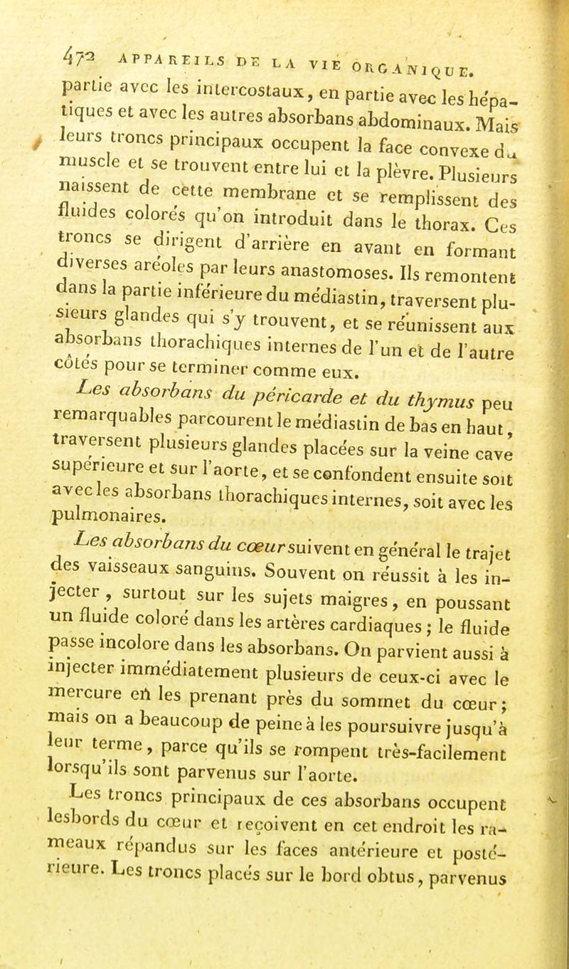 parue avec les intercostaux, en partie avec les hépa- tiques et avec les autres absorbans abdominaux. Mais leurs troncs principaux occupent la face convexe du muscle et se trouvent entre lui et la plèvre. Plusieurs iia.ssent de cette membrane et se remplissent des tiuides colores qu'on introduit dans le thorax. Ces troncs se dirigent d'arrière en avant en formant diverses aréoles par leurs anastomoses. Ils remontent dans la part.e infe'rieure du mëdiastin, traversent plu- sieurs glandes qui s'y trouvent, et se réunissent aux absorbans ihorachiques internes de l'un et de l'autre cotes pour se terminer comme eux. Les absorbans du péricarde et du thymus peu remarquables parcourent le mëdiastin de bas en haut traversent plusieurs glandes placëes sur la veine cave supérieure et sur l'aorte, et se confondent ensuite soit avec les absorbans ihorachiques internes, soit avec les pulmonaires. Les absorbans du cœursnhem en gënëral le trajet des vaisseaux sanguins. Souvent on réussit à les in- jecter surtout sur les sujets maigres, en poussant un fluide colorë dans les artères cardiaques ; le fluide passe incolore dans les absorbans. On parvient aussi à injecter immédiatement plusieurs de ceux-ci avec le mercure eil les prenant près du sommet du cœur; mais on a beaucoup de peine à les poursuivre jusqu'à eur terme, parce qu'ils se rompent très-facilement lorsqu ils sont parvenus sur l'aorte. Les troncs principaux de ces absorbans occupent lesbords du cœur et reçoivent en cet endroit les ra- meaux répandus sur les faces antérieure et posté- rieure. Les troncs places sur le bord obtus, parvenus