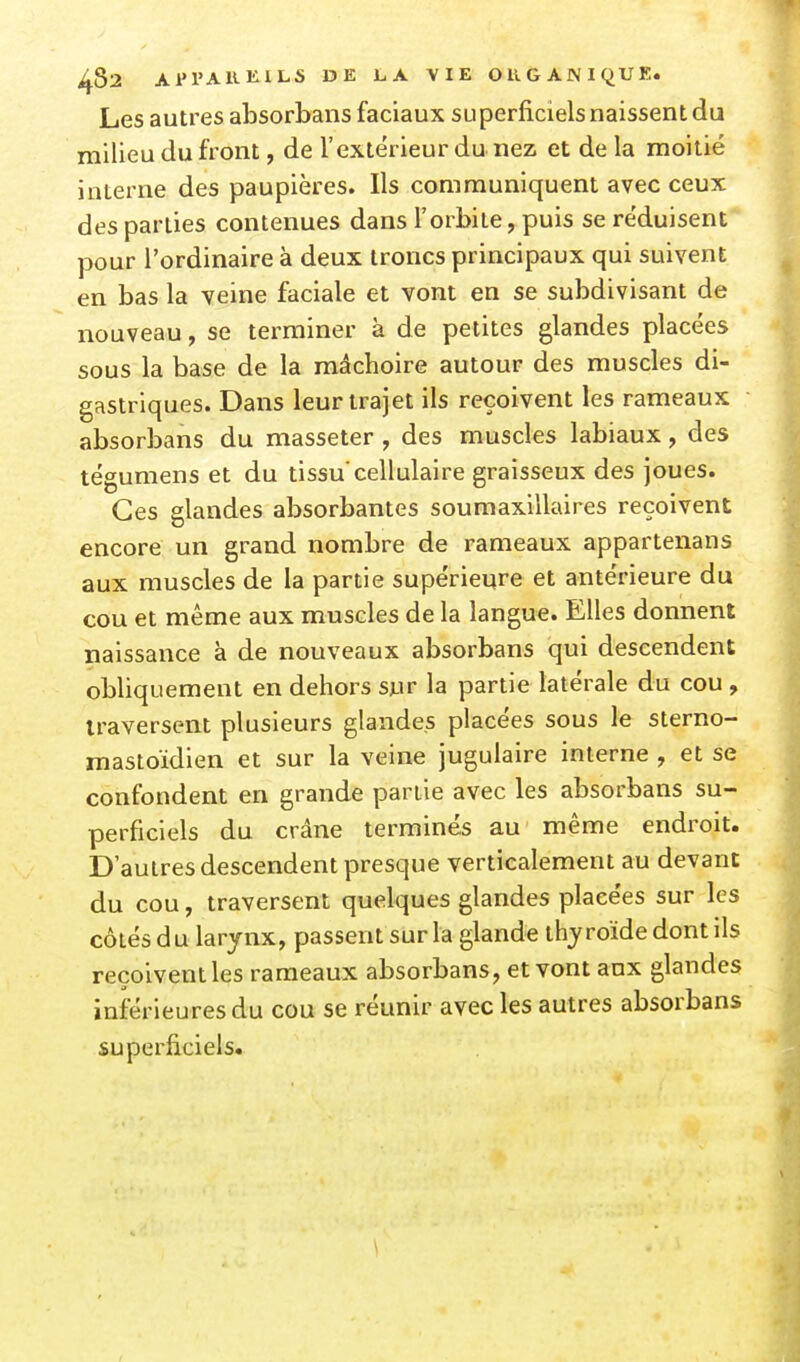 Les autres absorbans faciaux superficiels naissent du milieu du front, de l'extérieur du nez et de la moitié interne des paupières. Ils communiquent avec ceux des parties contenues dans l'orbite, puis se réduisent pour l'ordinaire à deux troncs principaux qui suivent en bas la veine faciale et vont en se subdivisant de nouveau, se terminer à de petites glandes placées sous la base de la mâchoire autour des muscles di- gastriques. Dans leur trajet ils reçoivent les rameaux absorbans du masseter , des muscles labiaux, des tégumens et du tissu cellulaire graisseux des joues. Ces glandes absorbantes soumaxillaires reçoivent encore un grand nombre de rameaux appartenans aux muscles de la partie supérieure et antérieure du cou et même aux muscles de la langue. Elles donnent naissance à de nouveaux absorbans qui descendent obliquement en dehors sur la partie latérale du cou , traversent plusieurs glandes placées sous le sterno- mastoïdien et sur la veine jugulaire interne , et se confondent en grande partie avec les absorbans su- perficiels du crâne terminés au même endroit. D'autres descendent presque verticalement au devant du cou, traversent quelques glandes placées sur les côtés du larynx, passent sur la glande thyroïde dont ils reçoivent les rameaux absorbans, et vont aux glandes inférieures du cou se réunir avec les autres absorbans superficiels.