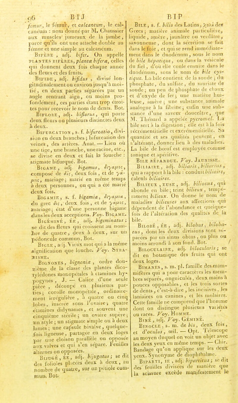 fcmur, le fémur, et calcaneum, le cal- canéiim : nom donne par M. Chaussier aux muscles jumeaux (le la jambe, parce qu'ils ont une attache double au iémur et une simple au calcaneum. Bifère , aclj. bifer. On appelle plantes biferes, planta biferx, celles qui donnent deux fois chaque année des fleurs et des fruits. Bifide, adj. bifidus , divisé lon- gitndinalcmenl ou environ jusqu'à moi- tié , en deux parties séparées par un angle rentrant aigu, ou moins pro- fondément, ces parties étant trop étroi- tes pour recevoir le nom de dents. Bot. Biflore, adj. biflorus, qui porte deux fleurs ou plusieurs distinctes deux à deux. Bifurcation , s. f. bifurcatio, divi- sion en deux branches ; bifurcation des veines , des artères. Anat. — Lieu où une tige, une branche, une racine, etc., se divise en deux et fait la fourche : stigmate bifurqué. Bot. Bigame, adj. bigamus, efi^aftoc, composé de JYç, deux fois , et de yi.- y.oç, mariage; marié en même temps à deux personnes, ou qui a été marié deux fois. Bigamie, s. f. bigamia, hya.y.\iL, «lu grec cfiç, deux fois, et de ya.p.01, mariage; état d'une personne bigame danslesdcox acceptions. Voy. Bigame. BigÉminÉ, Ée, adj. bigeminatus ; se dit des fleurs qui croissent au nom- .lue de quatre, deux à deux, sur un pédoncule commun. Bot. Bigle , aiij. Vieux mot qui a la même .signification que louche. Voy. Stra- bisme. Bignones , bignoniœ , ordre dou- zième de la classe des plantes dico- tylédones monopétales à 1 lamines hy» pogynes , J. — Calice d'une seule pièce , découpé en plusieurs par- ties; corolle monopétale, ordinaire- ment irrégulière , à quatre ou cinq lobes, insérée seins l'ovaire i quatre Staminés didynames, et souvent une cinquième stérile; un ovaire supëre; un style ; un stigmate simple ou à deux James; une capsule bivalve, quelque- lois ligneuse, partagée en deux loges par une cloison parallèle ou opposée aux valves et qui s'en sépare. Feuilles alternes on opposées. Buucé.ée, adj. bijugatus; se du des folioles placées deux h deux , au nombre de quatre, sur un pétiole com- muns Bot. Bile , s. f. bilis îles Latins, X^» def Grecs ; matière animale particulière, liquide, ainère, jaunâtre ou verdatre, savonneuse , dont la sécrétion se (ait dans le foie , et qui se rend immédiate- ment dans le duodénum , sous le nom de bile hépatique, ou dans la vésicule du iiel , d'où elle coule ensuite dans le duodénum, sous le nom île bile cys- tique. La bile contient de la soude ; du phosphate, du sulfate, du ruuriatc de soude; un peu de phosphate de chaux, et d'oxyde de fer; une matière hui- leuse, amère ; une substance animale analogue à la fibrine; enfin une sub- stance d'une saveur douceâtre, que M. Thénard a appelée pycromel. La bile sert à la digestion ; elle est à la (ois récrémentitielle et excrémcntitiellc. Sa quantité et ses qualités peuvent, en ^'altérant, donner lieu à des maladies. La bile de bœuf est employée comme tonique et apéritive. Bile répandue. Voy. Jaunisse. Biliaire , adj. biliaris , biliarius , qui a rapport à la bile : conduit biliaire, calculs biliaires. Bilieux , euse , adj. biliosus, qui abonde en bile; teint bilieux, tempé- rament bilieux. On donne le nom de maladies bilieuses aux affections qui dépendent de l'abondance et quelque- lois de l'altération des qualités de la bile. Bilobe , ÉE , adj. bilobus, biloba- tus, dont les deux divisions sont sé- parées par un sinus obtus , ou plus OU moins arrondi h son fond. Bot. BiloCulaire, adj. biloculctris ; se dit en botanique des fruits qui ont deux loges. Bimanes , s. m. pl. famille des mam- mifères qui a pour caractères les mem- bres séparés, onguiculés, deux mains a pouces opposables, et les trois sortes de dents , c'est-à-dire , les incisives, les laniaires ou canines, et les molaires. Cette famille ne comprend que l'homme dont on distingue plusieuis vaiiélés ou races. Voy. Homme. Biné , adj. Voy. Géminé. Binocle, s. m. de bis, deux fois, et tfoculus, œil. — Opt. Télescope au moyen duquel on voit un objet avec les deux yeux en même temps. — Chir. Bandage qu'on applique sur les deux yeux. Synonyme de diophlhalme. Biparti, if. , adj. bïpartitus; se dit des feuilles divisées de manière que I la scissure excède luoAifcalcineitl le