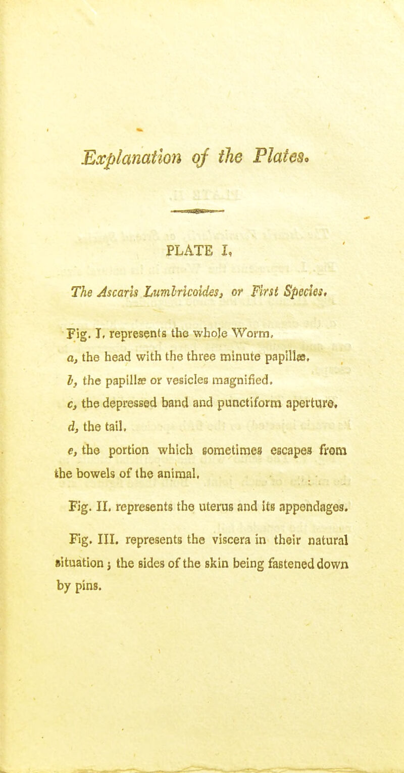 Explanation oj the Plates, PLATE I, The Ascarls LumlricoideS} or First Species. Fig. I, represents the whole Worm, a, the bead with the three minute papillee. If the papillae or vesicles magnified. c, the depressed band and punctiform aperture, d, the tail. €j the portion which sometimes escapes from the bowels of the animal. Fig. II. represents the uterus and its appendages. Fig. III. represents the viscera in their natural situation j the sides of the skin being fastened down by pins.