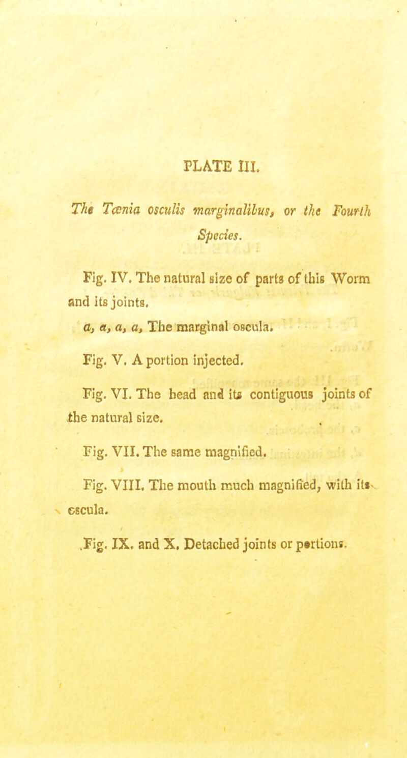 Tht Tccnia osculis mar^inalilus, or the Fourlh Species. Fig. IV. The natural size of parts of this Worm and its joints. ttj a, a, a. The marginal oscula. Fig. V. A portion injected. Fig, VI. The bead and it* contiguous joints of vthe natural size. Fig. VII. The same magnified. Fig. VIII. The mouth much magnified, with its- escula. .Fig. IX. and X. Detached joints or ptrtions.