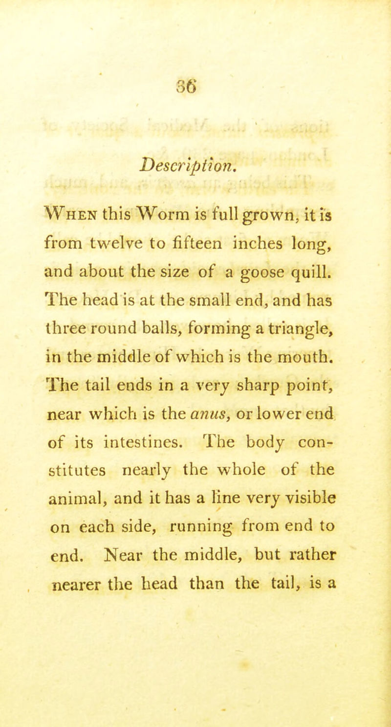 Description. When this Worm is full grown, it is from twelve to fifteen inches long, and about the size of a goose quill. The head is at the small end, and has three round balls, forming a triangle, in the middle of which is the mouth. The tail ends in a very sharp point, near which is the a?ius, or lower end of its intestines. The body con- stitutes nearly the whole of the animal, and it has a line very visible on each side, running from end to end. Near the middle, but rather nearer the head than the tail, is a