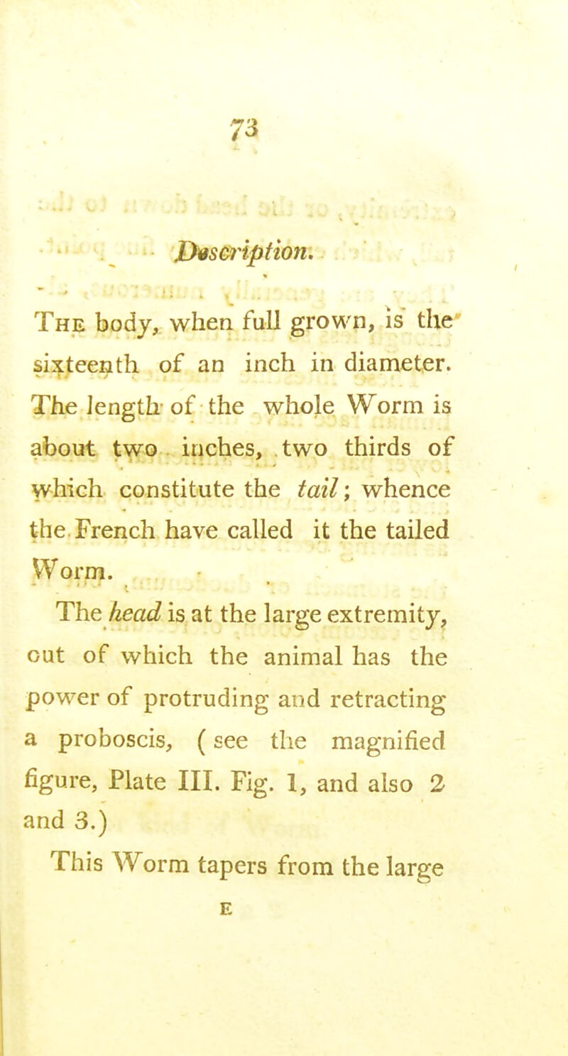 jDwsCjiption. The body, when full grown, is the' sixteenth of an inch in diameter. The length- of the whole Worm is about two . inches, two thirds of which constitute the tail; whence the French have called it the tailed Worm. The head is at the large extremity^ out of which the animal has the power of protruding and retracting a proboscis, (see the magnified figure, Plate III. Fig. 1, and also 2 and 3.) This Worm tapers from the large