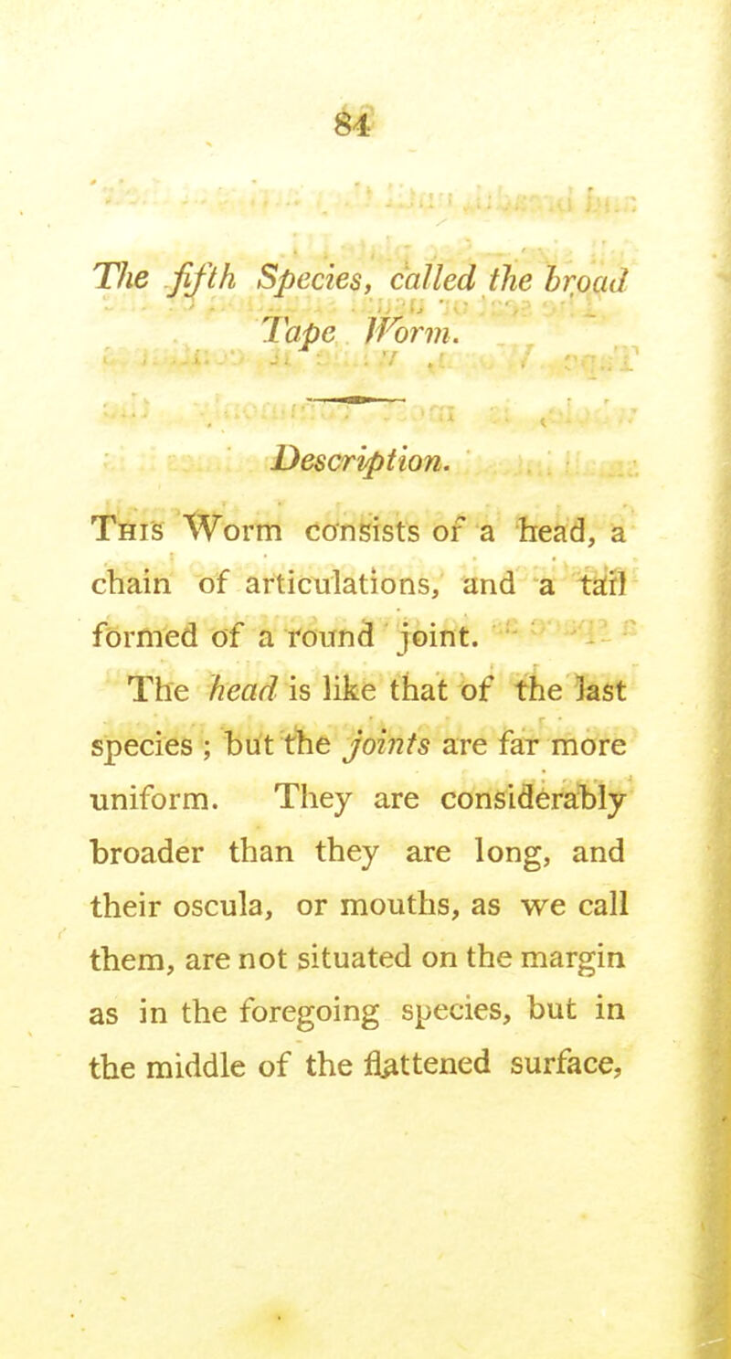 The fifth Species, called the broad . ■ Tape,. J form. Description. TfiiS Worm consists of a head, a chain of articulations, and a taffl formed of a roun5 joint. The head is like that of the last species ; but the joints are far more uniform. They are considerahly broader than they are long, and their oscula, or mouths, as we call them, are not situated on the margin as in the foregoing species, but in the middle of the flattened surface,