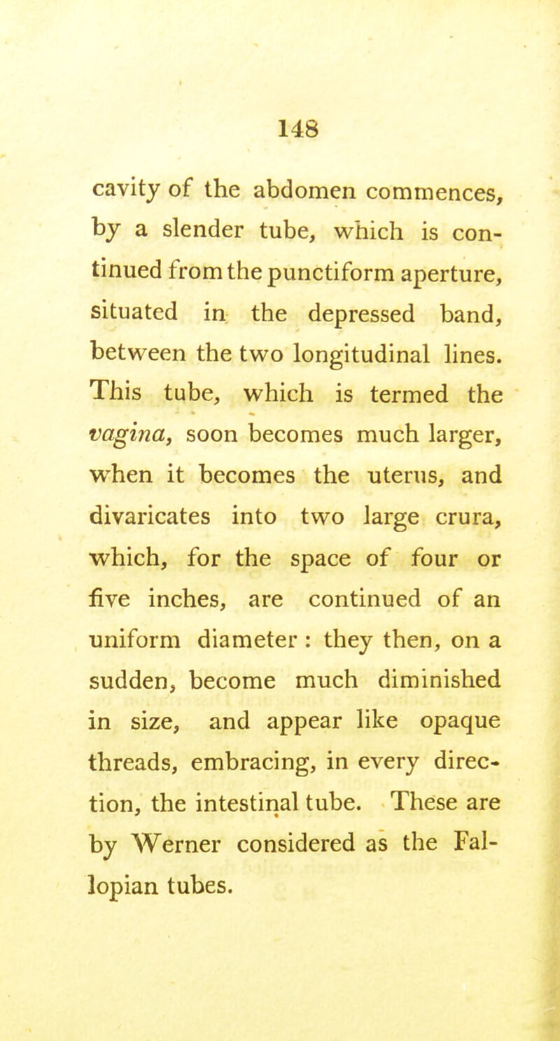 cavity of the abdomen commences, hy a slender tube, which is con- tinued from the punctiform aperture, situated in the depressed band, between the two longitudinal lines. This tube, which is termed the vagina, soon becomes much larger, when it becomes the uterus, and divaricates into two large crura, which, for the space of four or five inches, are continued of an uniform diameter : they then, on a sudden, become much diminished in size, and appear like opaque threads, embracing, in every direc- tion, the intestinal tube. These are by AVerner considered as the Fal- lopian tubes.