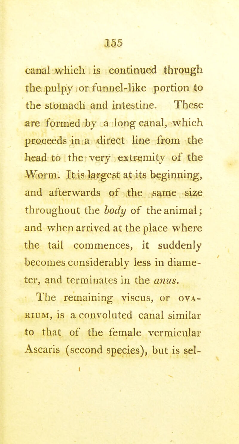 canal which is continued through the pulpy or funnel-like portion to the stomach and intestine. These are formed by a long canal, which proceeds in a direct line from the head to the very extremity of the -Worm. Itiis largest at its beginning, and afterwards of the same size throughout the body of the animal; and when arrived at the place where the tail commences, it suddenly becomes considerably less in diame- ter, and terminates in the anus. The remaining viscus, or ova- rium, is a convoluted canal similar to that of the female vermicular Ascaris (second species), but is sel-