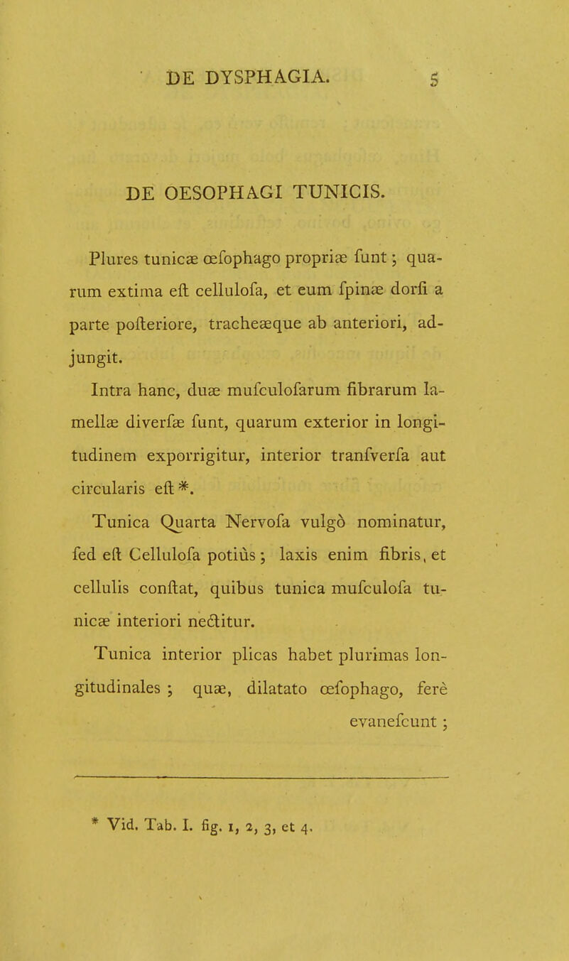 DE OESOPHAGI TUNICIS. Plures tunicae cefophago propriae funt; qua- rum extima eft cellulofa, et eum fpime dorli a parte pofteriore, tracheaeque ab anteriori, ad- jungit. Intra hanc, duae mufculofarum fibrarum la- mellae diverfae funt, quarum exterior in longi- tudinem exporrigitur, interior tranfverfa aut circularis eft *. Tunica Quarta Nervofa vulgo nominatur, fed eft Cellulofa potius; laxis enim fibris.et cellulis conftat, quibus tunica mufculofa tu- nicae interiori nedtitur. Tunica interior plicas habet plurimas lon- gitudinales ; quae, dilatato cefophago, fere evanefcunt; * Vid. Tab. I. fig. i, 2, 3, et 4.
