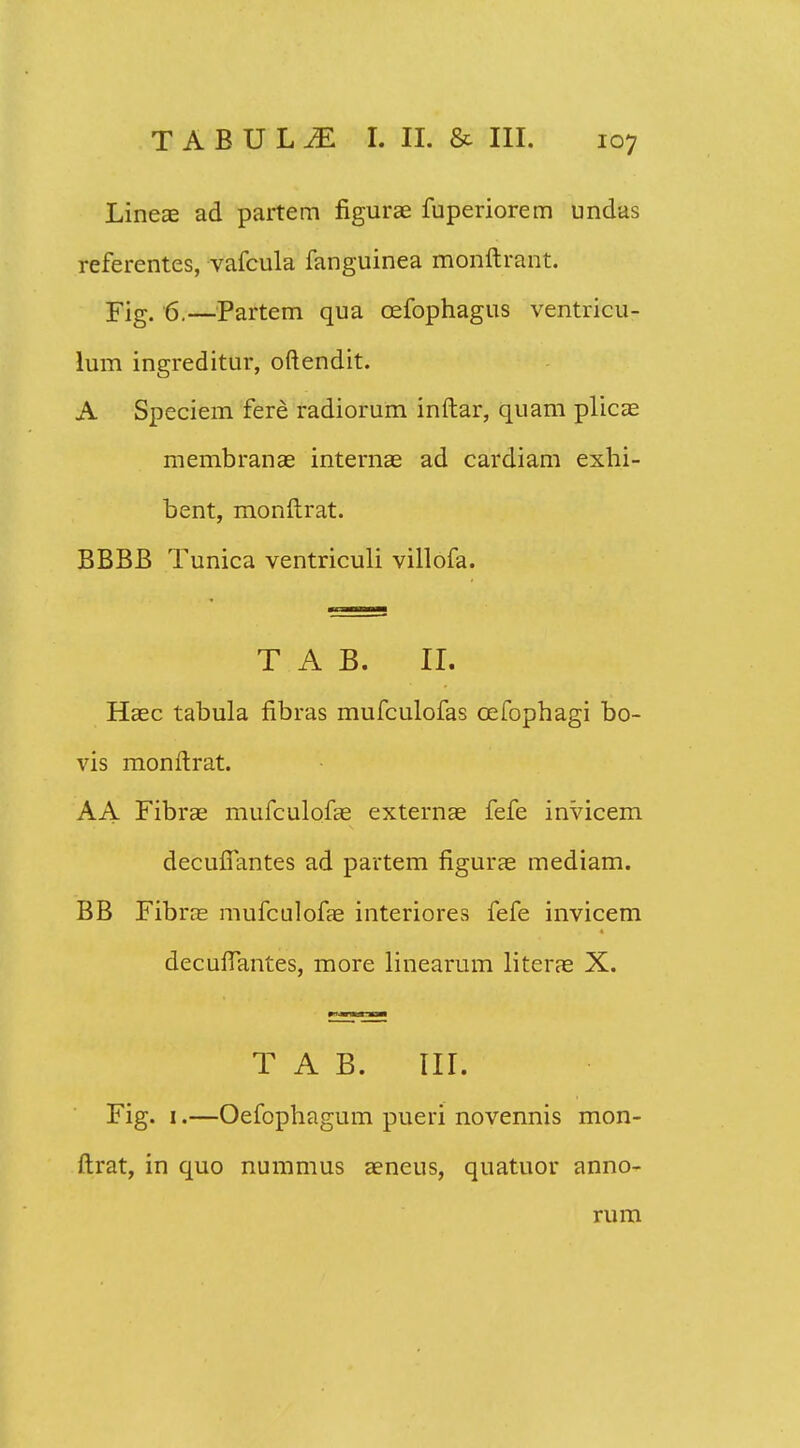 Lineas ad partem figurae fuperiorem undas referentes, vafcula fanguinea monftrant. Fig. 6.—Partem qua oefophagus ventricu- lum ingreditur, oftendit. A Speciem fere radiorum inftar, quam plicae membranae internae ad cardiam exhi- bent, monftrat. BBBB Tunica ventriculi villofa. T A B. II. Haec tabula fibras mufculofas oefophagi bo- vis monftrat. AA Fibrae mufculofas externae fefe invicem decuffantes ad partem figurae mediam. BB Fibras mufculofae interiores fefe invicem decufiantes, more linearum literae X. T A B. III. Fig. 1.—Oefophagum pueri novennis mon- ftrat, in quo nummus aeneus, quatuor anno- rum
