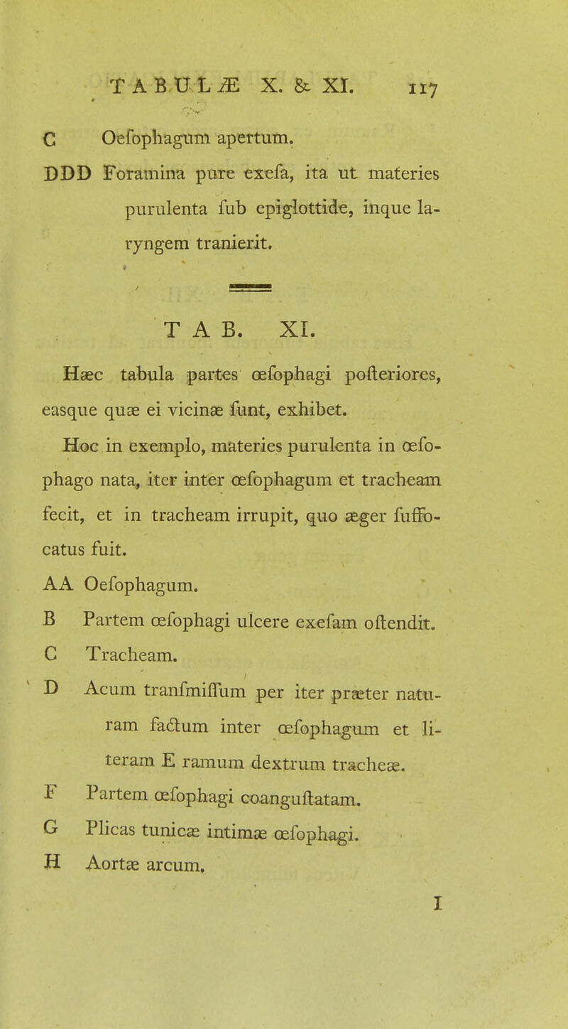 C Oefophagum apertum. DDD Foramina pure exefa, ita ut materies purulenta fub epiglottide, inque la- ryngem tranierit. T A B. XI. Haec tabula partes oefophagi pofteriores, easque quae ei vicinae funt, exhibet. Hoc in exemplo, materies purulenta in oefo- phago nata, iter inter oefophagum et tracheam fecit, et in tracheam irrupit, quo aeger fufFo- catus fuit. AA Oefophagum. B Partem oefophagi ulcere exefam oftendit. C Tracheam. D Acum tranfmiflum per iter prseter natu- ram faclum inter oefophagum et li- teram E ramum dextrum tracheae. F Partem cefophagi coanguftatam. G Plicas tunicae intimas oeibphagi. H Aortae arcum. I