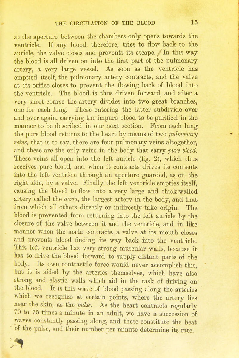 at the aperture between the chambers only opens towards the ventricle. If any blood, therefore, tries to flow back to the auricle, the valve closes and prevents its escape. / In this way the blood is all driven on into the first part of the pulmonary artery, a very large vessel. As soon as the ventricle has emptied itself, the pulmonary artery contracts, and the valve at its orifice closes to prevent the flowing back of blood into the ventricle. The blood is thus driven forward, and after a very short course the artery divides into two great branches, one for each lung. These entering the latter subdivide over and over again, carrying the impure blood to be purified, in the manner to be described in our next section. From each lung the pure blood returns to the heart by means of two 'pulmonary veins, that is to say, there are four pulmonaiy veins altogether, and these are the only veins in the body that carry pure blood. These veins all open into the left auricle (fig. 2), which thus receives pure blood, and when it contracts drives its contents into the left ventricle through an aperture guarded, as on the right side, by a valve. Finally the left ventricle empties itself, causing the blood to flow into a very large and thick-walled artery called the aoiia, the largest artery in the body, and that from which all others directly or indirectly take origin. The blood is prevented from returning into the left auricle by the closure of the valve between it and the ventricle, and in like manner when the aorta contracts, a valve at its mouth closes and prevents blood finding its way back into the ventricle. This left ventricle has very strong muscular walls, because it has to drive the blood forward to supply distant parts of the body. Its own contractile force would never accomplish this, but it is aided by the arteries themselves, which have also strong and elastic walls which aid in the task of driving on the blood. It is this wave of blood passing along the arteries which we recognize at certain points, where the artery lies near the skin, as the pulse. As the heart contracts regularly 70 to 75 times a minute in an adult, we have a succession of waves constantly passing along, and these constitute the beat of the pulse, and their number per minute determine its rate.
