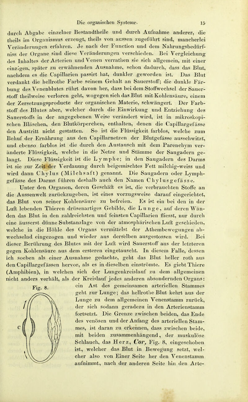 durch Abgabe einzelner Bestandtheile und durch Aufnahme anderer, die theils im Organismus erzeugt, theils von aussen zugeführt sind, mancherlei Veränderungen erfahren. Je nach der Function und dem Nahrungsbedürf- niss der Organe sind diese Veränderungen verschieden. Bei Vergleichung des Inhaltes der Arterien und Venen verrathen sie sich allgemein, mit einer einzigen, später zu erwähnenden Ausnahme, schon dadurch, dass das Blut, nachdem es die Capillarien passirt hat, dunkler geworden ist. Das Blut verdankt die hellrothe Farbe seinem Gehalt an Sauerstoff; die dunkle Fär- bung des Venenblutes rührt davon her, dass bei dem Stoffwechsel der Sauer- stoff theilweise verloren geht, wogegen sich das Blut mit Kohlensäure, einem der Zersetzungsproducte der organischen Materie, schwängert. Der Farb- stoff des Blutes aber, welcher durch die Einwirkung und Entziehung des Sauerstoffs in der angegebenen Weise verändert wird, ist in mikroskopi- schen Bläschen, den Blutkörperchen, enthalten, denen die Capillargefässe den Austritt nicht gestatten. So ist die Flüssigkeit farblos, welche zum Behuf der Ernährung aus den Capillarnetzen der Blutgefässe ausschwitzt, und ebenso farblos ist die durch den Austausch mit dem Parenchym ver- änderte Flüssigkeit, welche in die Netze und Stämme der Saugadern ge- langt. Diese Flüssigkeit ist die Lymphe; in den Saugadern des Darms ist sie zur Zeit der Verdauung durch beigemischtes Fett milchig-weiss und wird dann Chylus (Milchsaft) genannt. Die Saugadern oder Lymph- gefässe des Dai-ms führen deshalb auch den Namen Chylusgefasse. Unter den Organen, deren Geschäft es ist, die verbrauchten Stoffe an die Aussenwelt zurückzugeben, ist eines vorzugsweise darauf eingerichtet, das Blut von seiner Kohlensäure zu befreien. Es ist ein bei den in der Luft lebenden Thieren drilsenartiges Gebilde, die Lunge, auf deren Wän- den das Blut in den zahlreichsten und feinsten Capillarien fliesst, nur durch eine äusserst dünne Substanzlage von der atmosphärischen Luft geschieden, welche in die Höhle des Organs vermittelst der Athembewegungen ab- wechselnd eingezogen und wieder aus derselben ausgestossen wird. Bei dieser Berührung des Blutes mit der Luft wird Sauerstoff' aus der letzteren gegen Kohlensäure aus dem ersteren eingetauscht. In diesem Falle, dessen ich soeben als einer Ausnahme gedachte, geht das Blut heller roth aus den Capillargef ässen hei-vor, als es in dieselben einströmte. Es giebt Thiere (Amphibien), in welchen sich der Lungenkreislauf zu dem allgemeinen nicht anders vex'hält, als der Kreislauf jedes anderen absondernden Organs: ein Ast des gemeinsamen arteriellen Stammes geht zur Lunge; das hellrothe Blut kehrt aus der Lunge zu dem allgemeinen Venenstamm zurück, der sich sodann geradezu in den Arterienstamm fortsetzt. Die Grenze zwischen beiden, das Ende des venösen und der Anfang des arteriellen Stam- mes, ist daran zu ei'kennen, dass zwischen beide, mit beiden zusammenhängend, der muskulöse Schlauch, das Herz, Coi'^ Fig. 8, eingeschoben ist, welcher das Blut in Bewegung setzt, wel- cher also von Einer Seite her den Venenstamm aufnimmt, nach der anderen Seite hin den Arte- Fis;. 8.