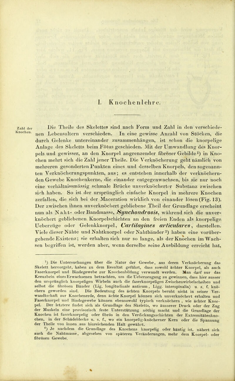 Zahl der Die Theile des Skelettes sind nach Form und Zahl in den verschiede- Knochen. ^^^^ Lebensaltern verschieden. In eine gewisse Anzahl von Stücken, die durch Gelenke imtereinander zusammenhängen, ist schon die knorpelige Anlage des Skeletts beim Fötus geschieden. Mit der Umwandlung des Knor- pels und gewisser, an den Knorpel angrenzender fibröser Gebilde i) in Kno- chen mehrt sich die Zahl jener Theile. Die Verknöcherung geht nämlich von mehreren gesonderten Punkten eines und desselben Knorpels, den sogenann- ten Verknöcherungspunkten, aus; es entstehen innerhalb der verknöchern- den Gewebe Knochenkerne, die einander entgegenwachsen, bis sie nur noch eine vei'hältnissmässig schmale Brücke unverknöcherter Substanz zwischen sich haben. So ist der ursprünglich einfache Knorpel in mehrere Knochen zerfallen, die sich bei der Maceration wirklich von einander lösen (Fig. 13). Der zwischen ihnen unverknöcliert gebliebene Theil der Grundlage erscheint nun als Naht- oder Bandmasse, Synchondt'Osis, während sich die unver- knöcliert gebliebenen Knorpelschichten an den freien Enden als knorpelige Ueberzüge oder Gelenkknorpel, Cartilagines articulares ^ darstellen. Viele dieser Nähte und Nahtknorpel oder Nahtbänder 2) haben eine vorüber- gehende Existenz; sie erhalten sich nur so lange, als der Knochen im Wach- sen begriffen ist, werden aber, wenn derselbe seine Ausbildung erreicht hat, ') Die Untersuchungen über die Natur der Gewebe, aus deren Verknöehevung das Skelett hervorgellt, haben zu dem Resultat geführt, dass sowohl ächter Knorpel, als auch Fasevkaorpel und Bindegewebe zur Knocheiibildung verwandt werden. Man darf nur das Kreuzbein eines Erwachsenen betrachten, nni die Ueberzeugung zu gewinnen, dass hier ausser den ursprünglich knorpehgen Wirbeln auch die faserknorpeligen Zwischenwirbelscheiben und selbst die fibrösen Bänder (Lig. longitudiiiale anticum , Ligg. interspinaha) u. s. f. knö- chern geworden sind. Die Bedeutung des ächten Knorpels beruht nicht in seiner Ver- wandtschaft zur Knochenerde, denn ächte Knorpel können sich unverknöchert erhalten und Faserknorpel und Bindegewebe können ebensowohl typisch verknöchern , wie ächter Knor- pel. Der letztere findet sich als Grundlage des Skeletts, wo äusserer Druck oder der Zug der Muskeln eine provisorisch feste Unterstützung nöthig macht und die Grundlage der Knochen ist faserknorpelig oder fibrös in den Verdickungsschichten der Extremitätenkno- chen, in der Schädeldecke u. s. f., wo ein knorpelig-knöcherner Kern oder die Spannung der Theile von innen aus hinreichenden Halt gewährt. 2) Je nachdem die Grundlage des Knochens knorpehg oder häutig ist, nähert sich auch die Nahtmasse, abgesehen von späteren Veränderungen, mehr dem Knorpel- oder fibrösen Gewebe.