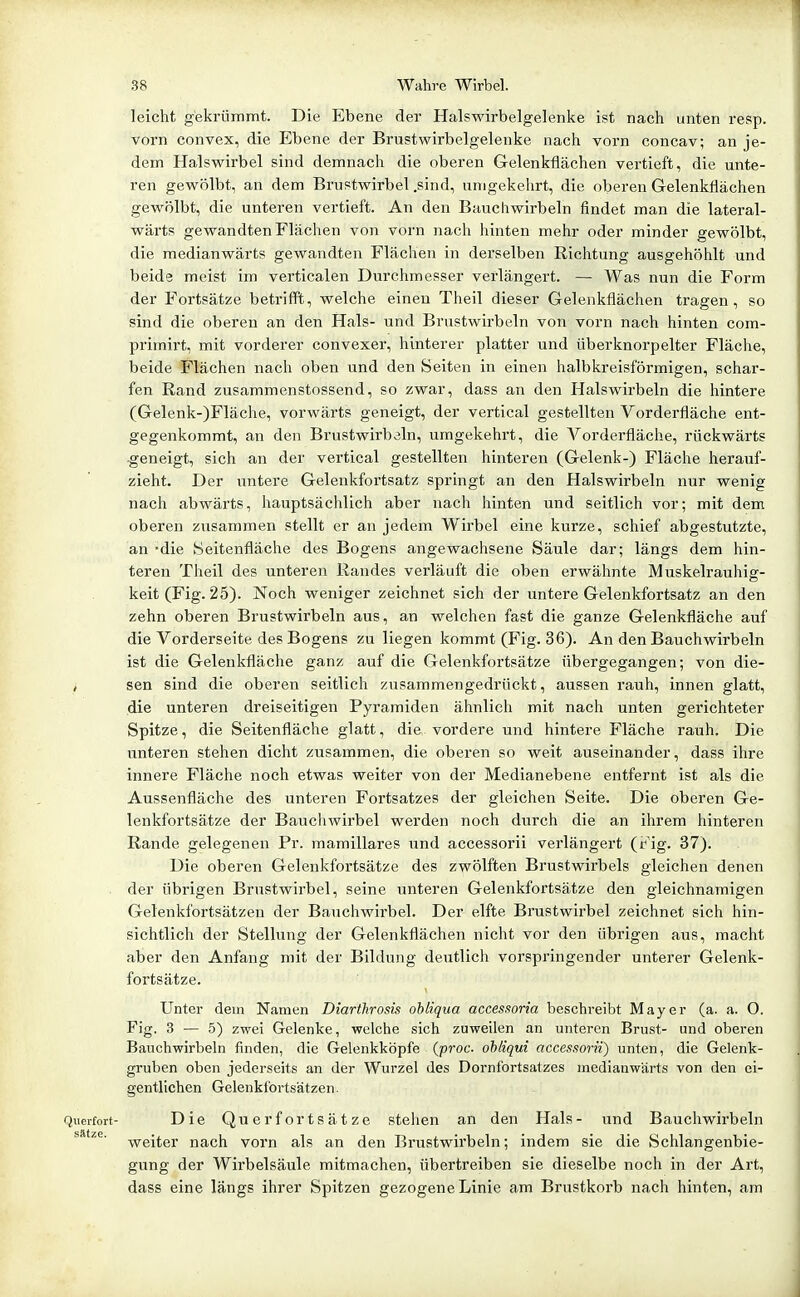 leicht gekrümmt. Die Ebene der Halswirbelgelenke ist nach unten resp. vorn convex, die Ebene der Brustwirbelgelenke nach vorn concav; an je- dem Halswirbel sind demnach die oberen Gelenkflächen vertieft, die unte- ren gewölbt, an dem Brustwirbel .sind, unigekehrt, die oberen Gelenkflächen gewölbt, die unteren vertieft. An den Bauchwirbeln findet man die lateral- wärts gewandten Flächen von vorn nach hinten mehr oder minder gewölbt, die medianwärts gewandten Flächen in derselben Richtung ausgehöhlt und beide meist im verticalen Durchmesser verlängert. — Was nun die Form der Fortsätze betrifft, welche einen Theil dieser Gelenkflächen tragen, so sind die oberen an den Hals- und Brustwirbeln von vorn nach hinten com- primirt, mit vorderer convexer, hinterer platter und überknorpelter Fläche, beide Flächen nach oben und den Seiten in einen halbkreisförmigen, schar- fen Rand zusammenstossend, so zwar, dass an den Halswirbeln die hintere (Gelenk-)Fläche, vorwärts geneigt, der vertical gestellten Vorderfläche ent- gegenkommt, an den Brustwirbeln, umgekehrt, die Vorderfläche, rückwäi'ts geneigt, sich an der vertical gestellten hinteren (Gelenk-) Fläche herauf- zieht. Der xmtere Gelenkfortsatz springt an den Halswirbeln nur wenig nach abwärts, hauptsächlich aber nach hinten und seitlich vor; mit dem oberen zusammen stellt er an jedem Wirbel eine kurze, schief abgestutzte, an 'die Seitenfläche des Bogens angewachsene Säule dar; längs dem hin- teren Theil des unteren Randes verläuft die oben erwähnte Muskelrauhig- keit (Fig. 25). Noch weniger zeichnet sich der untere Gelenkfortsatz an den zehn oberen Brustwirbeln aus, an welchen fast die ganze Gelenkfläche auf die Vorderseite des Bogens zu liegen kommt (Fig. 36). An den Bauchwirbeln ist die Gelenkfläche ganz auf die Gelenkfortsätze übergegangen; von die- / sen sind die oberen seitlich zusammengedrückt, aussen rauh, innen glatt, die unteren dreiseitigen Pyramiden ähnlich mit nach unten gerichteter Spitze, die Seitenfläche glatt, die vordere und hintere Fläche rauh. Die unteren stehen dicht zusammen, die oberen so weit auseinander, dass ihre innere Fläche noch etwas weiter von der Medianebene entfernt ist als die Aussenfläche des unteren Fortsatzes der gleichen Seite. Die oberen Ge- lenkfortsätze der Bauchwirbel werden noch durch die an ihrem hinteren Rande gelegenen Pr. mamillares und accessorii verlängert {eig. 37). Die oberen Gelenkfortsätze des zwölften Brustwirbels gleichen denen der übrigen Brustwirbel, seine unteren Gelenkfortsätze den gleichnamigen Gelenkfortsätzen der Bauchwirbel. Der elfte Brustwirbel zeichnet sich hin- sichtlich der Stellung der Gelenkflächen nicht vor den übrigen aus, macht aber den Anfang mit der Bildung deutlich vorspringender unterer Gelenk- fortsätze. Unter dem Namen Diarthrosis ohliqua acces.ioria beschreibt Mayer (a. a. O. Fig. 3 — 5) zwei Gelenke, welche sich zuweilen an unteren Brust- und oberen Bauchwirbeln finden, die Gelenkköpfe (proc. ohliqui accessorii) unten, die Gelenk- gruben oben jederseits an der Wurzel des Dornfortsatzes medianwärts von den ei- gentlichen Gelenkfortsätzen. Querfort- Die Qucrfortsätze stehen an den Hals- und Bauchwirbeln weiter nach vorn als an den Brustwirbeln; indem sie die Schlangenbie- gung der Wirbelsäule mitmachen, übertreiben sie dieselbe noch in der Art, dass eine längs ihrer Spitzen gezogene Linie am Brustkorb nach hinten, am