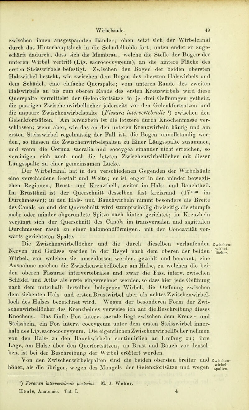 zwischen ihnen ausgespannten Bänder; oben setzt sich, der Wirbelcanal durch das Hinterhauptsloch in die Schädelhöhle fort; unten endet er zuge- schärft dadurch, dass sich die Membran, welche die Stelle der Bogerr der unteren Wirbel vertritt (Lig. sacrococcygeum), an die hintere Fläche des ersten Steisswirbels befestigt. Zwischen den Bogen der beiden obersten Halswirbel besteht, wie zwischen dem Bogen des obersten Halswirbels und dem Schädel, eine einfache Querspalte; vom unteren Rande des zweiten Halswirbels an bis zum oberen Rande des ersten Kreuzwirbels wird diese Querspalte vermittelst der Gelenkfortsätze in je drei Oeffhungen getheilt, die paarigen Zwischenwirbellöcher jederseits vor den Gelenkfortsätzen und die unpaare Zwischenwirbelspalte {Fissura intervertehralis ^) zwischen den Gelenkfortsätzen. Am Kreuzbein ist die letztere durch Knochenmasse ver- schlossen ; wenn aber, wie das an den unteren Kreuzwirbeln häufig und am ersten Steisswirbel regelmässig der Fall ist, die Bogen unvollständig wer- den, so fliessen die Zwischenwirbelspalten zu Einer Längsspalte zusammen, und wenn die Cornua sacralia und coccygea einander nicht erreichen, so vereinigen sich auch noch die letzten Zwischenwirbellöcher mit dieser Längsspalte zu einer gemeinsamen Lücke. Der Wirbelcanal hat in den verschiedenen Gegenden der Wirbelsäule eine verschiedene Gestalt und Weite; er ist enger in den minder bewegli- chen Regionen, Brust- und Kreuztheil, weiter im Hals- und Bauchtheil. Im Brusttheil ist der Querschnitt desselben fast kreisrund (17 im Durchmesser); in den Hals- und Bauchwirbeln nimmt besonders die Breite des Canals zu und der Querschnitt wird stumpfwinklig dreiseitig, die stixmpfe mehr oder minder abgerundete Spitze nach hinten gerichtet; im Kreuzbein verjüngt sich der Querschnitt des Canals im transversalen und sagittalen Durchmesser rasch zu einer halbmondförmigen, mit der Concavität vor- wärts gerichteten Spalte. Die Zwischenwirbellöcher und die durch dieselben verlaufenden zwischen- Nerven und Gefässe werden in der Regel nach dem oberen der beiden • ]ö'cher' Wirbel, von welchen sie umschlossen werden, gezählt und benannt; eine Ausnahme machen die Zwischenwirbellöcher am Halse, zu welchen die bei- den oberen Fissurae intervertebrales und zwar die Fiss. interv. zwischen Schädel und Atlas als erste eingerechnet werden, so dass hier jede Oeffnung nach dem unterhalb derselben belegenen Wirbel, die Oeffnung zwischen dem siebenten Hals- und ersten Brustwirbel aber als achtes Zwischenwirbel- loch des Halses bezeichnet wird. Wegen der besonderen Form der Zwi- schenwirbellöcher des Kreuzbeines verweise ich auf die Beschreibung dieses Knochens. Das fünfte For. interv. sacrale liegt zwischen dem Kreuz - und Steissbein, ein For. interv. coccygeum unter dem ersten Steisswirbel inner- halb des Lig. sacrococcygeum. Die eigentlichen Zwischenwirbellöcher nehmen von den Hals- zu den Bauchwirbeln continuirlich an Umfang zu; ihre Lage, am Halse über den Querfortsätzen, an Brust und Bauch vor densel- ben, ist bei der Beschreibung der Wirbel erörtert worden. Von den Zwischenwirbelspalten sind die beiden obersten breiter und Zwischen- höher, als die übrigen, wegen des Mangels der Gelenkfortsätze und wegen Raiten. Foramen miervertebrale posterius. M. J. Weber. He nie, Anatomie. Thl. I. 4