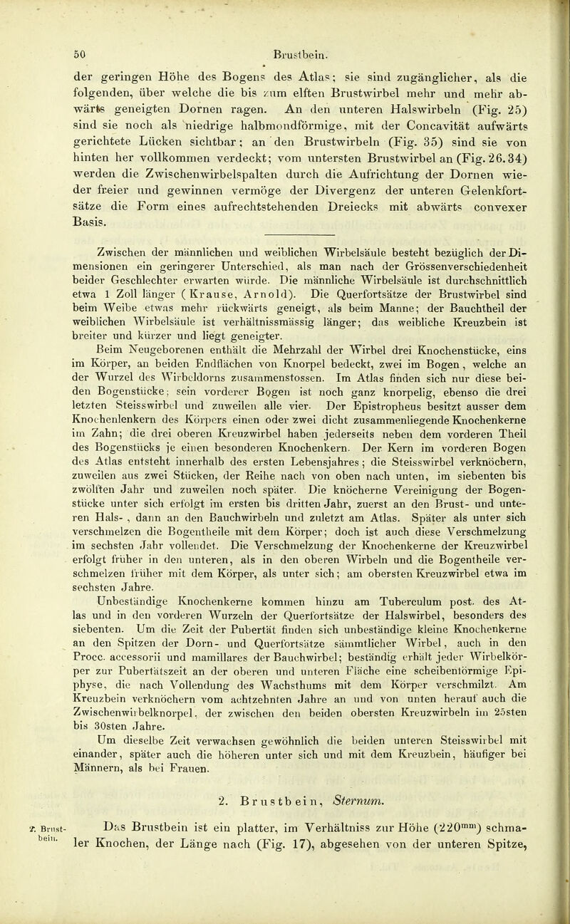 der geringen Höhe des Bogens des Atlas; sie sind zugänglicher, als die folgenden, über welche die bis zum elften Brustwirbel mehr und mehr ab- wärte geneigten Dornen ragen. An den iinteren Halswirbeln (Fig. 25) sind sie noch als niedrige halbmondförmige, mit der Concavität aufwärts gerichtete Lücken sichtbar; an den Brustwirbeln (Fig. 35) sind sie von hinten her vollkommen verdeckt; vom untersten Brustwirbel an (Fig. 26.34) werden die Zwischenwirbelspalten durch die Aufrichtung der Dornen wie- der freier und gewinnen vermöge der Divergenz der unteren Gelenkfort- sätze die Form eines aufrechtstehenden Dreiecks mit abwärts convexer Basis. Zwischen der männlichen und weiblichen Wirbelsäule besteht bezüglich der Di- mensionen ein geringerer Unterschied, als man nach der Grössenverschiedenheit beider Geschlechter erwarten würde. Die männliche Wirbelsäule ist durchschnittlich etwa 1 Zoll länger (Krause, Arnold). Die Querfortsätze der Brustwirbel sind beim Weibe etwas mehr rückwärts geneigt, als beim Manne; der Bauchtheil der weiblichen Wirbelsäule ist verhältnissmässig länger; das weibliche Kreuzbein ist breiter und kürzer und liegt geneigter. Beim Neugeborenen enthält die Mehrzahl der Wirbel drei Knochenstücke, eins im Körper, an beiden Endflächen von Knorpel bedeckt, zwei im Bogen, welche an der Wurzel des Wirbeldorns ziisammenstossen. Im Atlas finden sich nur diese bei- den Bogenstücke; sein vorderer Bogen ist noch ganz knorpelig, ebenso die drei letzten Steisswirbel und zuweilen alle vier- Der Epistropheus besitzt ausser dem Knothenlenkern des Körpers einen oder zwei dicht zusammenliegende Knochenkerne im Zahn; die drei oberen Kreuzwirbel haben jederseits neben dem vorderen Theil des Bogenstücks je einen besonderen Knochenkern. Der Kern im voi-deren Bogen des Atlas entsteht innerhalb des ersten Lebensjahres; die Steisswirbel verknöchern, zuweilen aus zwei Stücken, der Reihe nach von oben nach unten, im siebenten bis zwölften Jahr und zuweilen noch später. Die knöcherne Vereinigung der Bogen- stücke unter sich erfolgt im ersten bis dritten Jahr, zuerst an den Brust- und unte- ren Hals- , dann an den Bauchwirbeln und zuletzt am Atlas. Später als unter sich verschmelzen die Bogentheile mit dem Körper; doch ist auch diese Verschmelzung im sechsten Jahr vollendet. Die Verschmelzung der Knochenkerne der Kreuzwirbel erfolgt früher in den unteren, als in den oberen Wirbeln und die Bogentheile ver- schmelzen früher mit dem Körper, als unter sich; am obersten Kreuzwirbel etwa im sechsten Jahre. Unbeständige Knochenkerne kommen hinzu am Tuberculum post. des At- las und in den vorderen Wurzeln der Querfortsätze der Halswirbel, besonders des siebenten. Um die Zeit der Pubertät finden sich unbeständige kleine Knochenkerne an den Spitzen der Dorn- und Querfortsätze säinmtlicher Wirbel, auch in den Procc. accessorii und mamillares der Bauchwirbel; beständig erhält jeder Wirbelkör- per zur Pubertätszeit an der oberen und unteren Fläche eine scheibenlörmige Epi- physe, die nach Vollendung des Wachsthums mit dem Körper verschmilzt. Am Kreuzbein verknöchern vom achtzehnten Jahre an und von unten herauf auch die Zwischenwiibelknorpel, der zwischen den beiden obersten Kreuzwirbeln im 2östen bis 30sten Jahre. Um dieselbe Zeit verwachsen gewöhnlich die beiden unteren Steisswirbel mit einander, später auch die höheren unter sich und mit dem Kreuzbein, häufiger bei Männern, als bei Frauen. 2. Brustbein, Sternum. T. Brust- Das Brustbein ist ein platter, im Verhältniss zur Höhe (220™°') schma- 1er Knochen, der Länge nach (Fig. 17), abgesehen von der unteren Spitze,