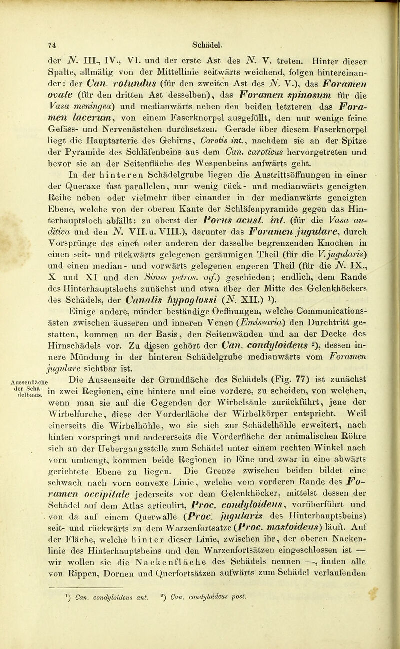 der N. III., IV., VI. und der erste Ast des N. V. treten. Hinter dieser Spalte, allmälig von der Mittellinie seitwärts weichend, folgen hintereinan- der: der Can. rotundlis (für den zweiten Ast des N, V.), das Foramen ovale (für den dritten Ast desselben), das Voramen spinosum für die Vasa meningea) und medianwärts neben den beiden letzteren das Fora- men lacerum^ von einem Faserknorpel ausgefüllt, den nur wenige feine Gefäss- und Nervenästchen durchsetzen. Gerade über diesem Faserknorpel liegt die Hauptarterie des Gehirns, Carotis int.^ nachdem sie an der Spitze der Pyramide des Schläfenbeins aus dem Can. caroticus hervorgetreten und bevor sie an der Seitenfläche des Wespenbeins aufwärts geht. In der hinteren Schädelgrube liegen die Austrittsöffnungen in einer der Queraxe fast parallelen, nur wenig rück- und medianwärts geneigten Reihe neben oder vielmehr über einander in der medianwärts geneigten Ebene, welche von der oberen Kante der Schläfenpyramide gegen das Hin- terhauptsloch abfällt: zu oberst der Poms acust. int. (für die Vasa au- ditiva und den N. VII. u. VIII.), darunter das Forametl jligulare., durch Vorsprünge des eine6 oder anderen der dasselbe begrenzenden Knochen in einen seit- und rückwärts gelegenen geräumigen Theil (für die V.jugularis) und einen median - und vorwärts gelegenen engeren Theil (für die N. IX., X und XI und den Sinus petros. inf.) geschieden; endlich, dem Rande des Hinterhaiiptslochs zunächst und etwa über der Mitte des Gelenkhöckers des Schädels, der Cunalis hypoglossi (iV. XII.) i). Einige andere, minder beständige OefFnungen, welche Communications- ästen zwischen äusseren und inneren Venen (Emissaria) den Durchtritt ge- statten, kommen an der Basis, den Seitenwänden und an der Decke des Hirnschädels vor. Zu diesen gehört der Can. condyloideus 2), dessen in- nere Mündung in der hinteren Schädelgrube medianwärts vom Foramen jugulare sichtbar ist. AusscnHftche Aussenseite der Grundfläche des Schädels (Fig. 77) ist zunächst ''deibasfs ^'^^^ Regionen, eine hintere und eine vordere, zu scheiden, von welchen, wenn man sie auf die Gegenden der Wirbelsäule zurückführt, jene der Wirbelfurche, diese der Vorderfläche der Wirbelkörper entspricht. Weil einerseits die Wirbelhöhle, wo sie sich zur Schädelhöhle erweitert, nach hinten vorspringt und andererseits die Vorderfläche der animalischen Röhre sich an der Uebergangsstelle zum Schädel unter einem rechten Winkel nach vorn umbeugt, kommen beide Regionen in Eine vmd zwar in eine abwärts gerichtete Ebene zu liegen. Die Grenze zwischen beiden bildet eine schwach nach vorn convexe Linie ^ welche vom vorderen Rande des Fo- ramen occipitale jederseits vor dem Gelenkhöcker, mittelst dessen der Schädel auf dem Atlas articulirt, Proc. condyloideus, vorüberführt und • von da auf einem Querwalle (Proc. jligidaris des Hinterhauptsbeins) seit- und rückwärts zu dem Warzenfortsatze {Proc. masfoiden-s-} läuft. Auf der Fläche, welche hinter dieser Linie, zwischen ihr, der oberen Nacken- linie des Hinterhauptsbeins und den Warzenfortsätzen eingeschlossen ist — wir wollen sie die Nackenfläche des Schädels nennen —, finden alle von Rippen, Dornen und Querfortsätzen aufwärts zum Schädel verlaufenden ') Can. condyloideus ant. Can. condyloideus post.