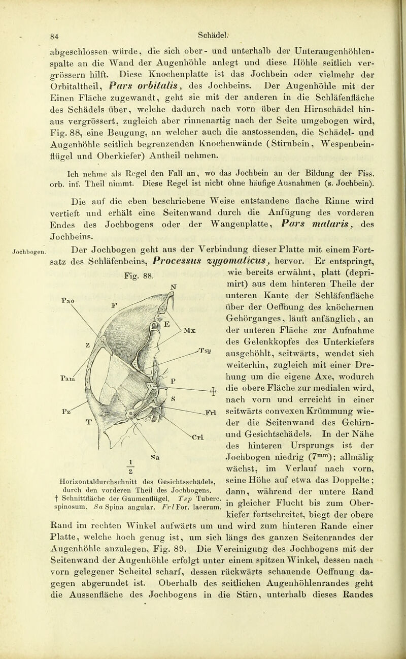 Jochbogen. abgeschlossen würde, die sich ober- und unterhalb der Unteraugenhöhlen- spalte an die Wand der Augenhöhle anlegt und diese Höhle seitlich ver- grössern hilft. Diese Knochenplatte ist das Jochbein oder vielmehr der Orbitaltheil, Pars orbltalis, des Jochbeins. Der Augenhöhle mit der Einen Fläche zugewandt, geht sie mit der anderen in die Schläfenfläche des Schädels über, welche dadiirch nach vorn über den Hirnschädel hin- aus vergrössert, zugleich aber rinnenartig nach der Seite umgebogen wird, Fig. 88, eine Beugung, an welcher auch die anstossenden, die Schädel- und Augenhöhle seitlich begrenzenden Knochenwände (Stirnbein, Wespenbein- flügel und Oberkiefer) Antheil nehmen. Ich nehme als Regel den Fall an, wo das Jochbein an der Bildung der Fiss. Orb. inf. Theil nimmt. Diese Regel ist nicht ohne häufige Ausnahmen (s. Jochbein). Die auf die eben beschriebene Weise entstandene flache Rinne wird vertieft und erhält eine Seitenwand durch die Anfügung des vorderen Endes des Jochbogens oder der Wangenplatte, Pars malaris, des Jochbeins. Der Jochbogen geht aus der Verbindung dieser Platte mit einem Fort- satz des Schläfenbeins, Processus zyffOmaiicuSj hervor. Er entspringt. Fig. 88. Tarn wie bereits erwähnt, platt (depri- mirt) aus dem hinteren Theile der unteren Kante der Schläfenfläche über der Oefl^nung des knöchernen Gehörganges, läuft anfänglich , an der ^^nteren Fläche zur Aufnahme des Gelenkkopfes des Unterkiefers ausgehöhlt, seitwärts, wendet sich weiterhin, zugleich mit einer Dre- hiang um die eigene Axe, wodurch die obere Fläche zur medialen wird, nach vorn und erreicht in einer seitwärts convexen Krümmung wie- der die Seitenwand des Gehirn- und Gesichtschädels. In der Nähe des hinteren Ursprungs ist der Jochbogen niedrig (7™™); allmälig wächst, im Verlauf nach vorn, seine Höhe auf etwa das Doppelte ; dann, während der untere Rand in gleicher Flucht bis zum Ober- kiefer fortschreitet, biegt der obere Rand im rechten Winkel aufwärts um und wird zum hinteren Rande einer Platte, welche hoch genug ist, um sich längs des ganzen Seitenrandes der Augenhöhle anzulegen, Fig. 89. Die Vereinigung des Jochbogens mit der Seitenwand der Augenhöhle erfolgt unter einem spitzen Winkel, dessen nach vorn gelegener Scheitel scharf, dessen rückwärts schauende Oeffnung da- gegen abgerundet ist. Oberhalb des seitlichen Augenhöhlenrandes geht die Aussenfläche des Jochbogens in die Stirn, unterhalb dieses Randes Horizontaldurchschnitt des Gesichtsschädels, durch den vorderen Theil des Jochbogens. 1 Schnittfläche der Gauraenflügel. Tsp Tuberc. spinosum. Sa Spina angular. FrlFor. lacerum.