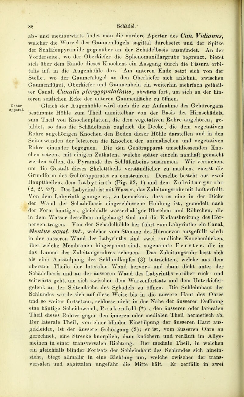 ab - und medianwärts findet man die vordere Apertur des Can. VidiamiSj welcher die Wurzel des Gaumenflügels sagittal durchsetzt und der Spitze der Schläfenpyramide gegenüber an der Schädelbasis ausmündet. An der Vorderseite, wo der Oberkiefer die Sphenomaxillargrube begrenzt, bietet sich über dem Rande dieses Knochens ein Ausgang durch die Fissura orbi- talis inf. in die Augenhöhle dar. ' Am unteren Ende setzt sich von der Stelle, wo der Gaumehflügel an den Oberkiefer sich anlehnt, zwischen Gaumenflügel, Oberkiefer und Gaumenbein ein weiterhin, mehrfach getheil- ter Canal, CauallS pterygopalalinus^ abwärts fort, um sich an der hin- teren seitlichen Ecke der unteren Gaumenfläche zu öffnen. Gehör- Gleich der Augenhöhle wird auch die zur Aufnahme des Gehörorgans ipparat. j^gg^jj^^j^jg Höhle zum Theil unmittelbar von der Basis des Hirnschädels, zum Theil von Knochenplatten, die dem vegetativen Rohre angehören, ge- bildet, so dass die Schädelbasis zugleich die Decke, die dem vegetativen Rohre angehörigen Knochen den Boden dieser Höhle darstellen und in den Seitenwänden der letzteren die Knochen der animalischen und vegetativen Röhre einander begegnen. Die den Gehörapparat umschliessenden Kno- chen setzen, mit einigen Zuthaten, welche später einzeln namhaft gemacht werden sollen, die Pyramide des Schläfenbeins zusammen. Wir versuchen, um die Gestalt dieses Skeletttheils verständlicher zu machen, zuerst die Grundform des Gehörapparates zu construiren. Derselbe besteht aus zwei Haupttheilen, dem Labyrinth (Fig. 92, 1) und dem Zuleitungsrohr (2, 2', 2)' Das Labyrinth ist mit Wasser, das Zuleitungsrohr mit Luft erfüllt. Von dem Labyrinth genüge es, zu bemerken, dass es eine in der Dicke der Wand der Schädelbasis eingeschlossene Höhlung ist, gemodelt nach der Form häutiger, gleichfalls wasserhaltiger Bläschen und Röhrchen, die in dem Wasser desselben aufgehängt sind und die Endausbreitung des Hör- nerven tragen. Von der Schädelhöhle her führt zum Labyrinthe ein Canal, Meatus acust. int., welcher vom Stamme des Hörnerven ausgefüllt wird; in der äusseren Wand des Labyrinths sind zwei rundliche Knochenlücken, über welche Membranen hingespannt sind, sogenannte Fenster, die in das Lumen des Zuleitungsrohres schauen. Das Zuleitungsrohr lässt sich als eine Ausstülpung des Schlundkopfes (3) betrachten, welche aus dem obersten Theile der lateralen Wand hervor- und dann dicht unter der Schädelbasis und an der äusseren Wand des Labyrinths vorüber rück- und seitwärts geht, um sich zwischen dem Warzenfortsatz und dem Unterkiefer- gelenk an der Seitenfläche des Schädels zu öffnen. Die Schleimhaut des Schlundes würde sich auf diese Weise bis in die äussere Haut des Ohres und so weiter fortsetzen, schlösse nicht in der Nähe der äusseren Oeffhung eine häutige Scheidewand, Paukenfell (*) , den äusseren oder lateralen Theil dieses Rohres gegen den inneren oder medialen Theil hermetisch ab. Der laterale Theil, von einer blinden Einstülpung der äusseren Haut aus- gekleidet, ist der äussere Gehörgang (2); er ist, vom äusseren Ohre an gerechnet, eine Strecke knorplich, dann knöchern und verläuft im Allge- meinen in einer transversalen Richtung. Der mediale Theil, in welchen ein gleichfalls blinder Fortsatz der Schleimhaut des Schlundes sich hinein- zieht, biegt allmälig in eine Richtung um, welche zwischen der trans- versalen und sagittalen ungefähr die Mitte hält. Er zerfällt in zwei