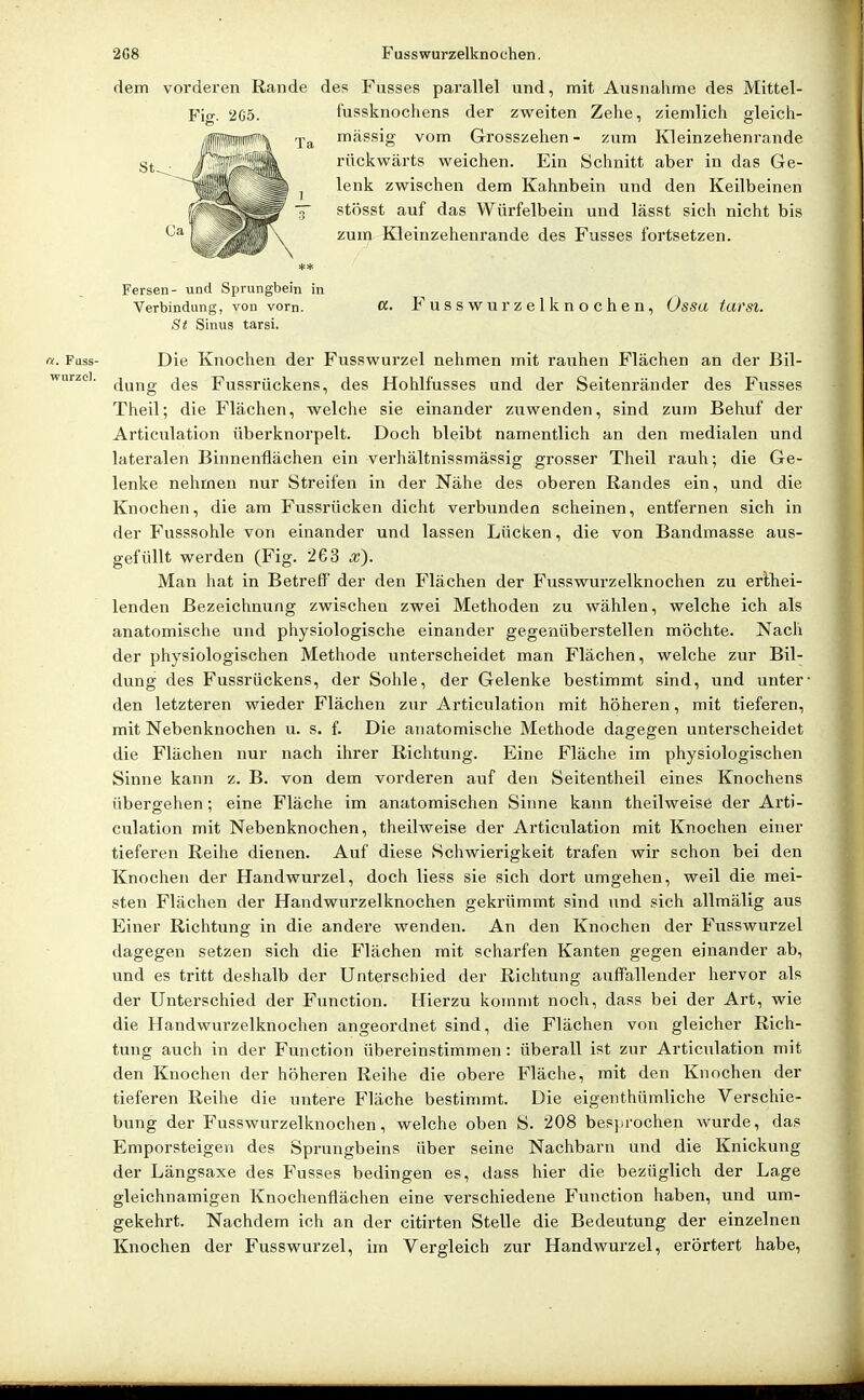 dem vorderen Rande des Fusses parallel und, mit Ausnahme des Mittel- Fig. 2G5. fussknochens der zweiten Zehe, ziemlich gleich- massig vom Grosszehen - zum Kleinzehenrande rückwärts weichen. Ein Schnitt aber in das Ge- lenk zwischen dem Kahnbein und den Keilbeinen stösst auf das Würfelbein und lässt sich nicht bis zum Kleinzehenrande des Fusses fortsetzen. Fersen- und Sprungbein in Verbindung, von vom. «• Fusswurzelknochen, Ossu tursi. St Sinus tarsi. n. Fuss- Die Knochen der Fusswurzel nehmen mit rauhen Flächen an der ßil- wurzei. jj^j^ig Fussrückens, des Hohlfusses und der Seitenränder des Fusses Theil; die Flächen, welche sie einander zuwenden, sind zum Behuf der Articulation überknorpelt. Doch bleibt namentlich an den medialen und lateralen Binnenflächen ein verhältnissmässig grosser Theil rauh; die Ge- lenke nehmen nur Streifen in der Nähe des oberen Randes ein, und die Knochen, die am Fussrücken dicht verbunden scheinen, entfernen sich in der Fusssohle von einander und lassen Lücken, die von Bandmasse aus- gefüllt werden (Fig. 263 x). Man hat in Betreff' der den Flächen der Fusswurzelknochen zu erlhei- lenden Bezeichnung zwischen zwei Methoden zu wählen, welche ich als anatomische und physiologische einander gegenüberstellen möchte. Nach der physiologischen Methode unterscheidet man Flächen, welche zur Bil- dung des Fussrückens, der Sohle, der Gelenke bestimmt sind, und unter- den letzteren wieder Flächen zur Articijlation mit höheren, mit tieferen, mit Nebenknochen u. s. f. Die anatomische Methode dagegen unterscheidet die Flächen nur nach ihrer Richtung. Eine Fläche im physiologischen Sinne kann z. B. von dem vorderen auf den Seitentheil eines Knochens übergehen; eine Fläche im anatomischen Siime kann theilweise der Arti- culation mit Nebenknochen, theilweise der Articulation mit Knochen einer tieferen Reihe dienen. Auf diese Schwierigkeit trafen wir schon bei den Knochen der Handwurzel, doch liess sie sich dort umgehen, weil die mei- sten Flächen der Handwurzelknochen gekrümmt sind und sich allmälig aus Einer Richtung in die andere wenden. An den Knochen der Fusswurzel dagegen setzen sich die Flächen mit scharfen Kanten gegen einander ab, und es tritt deshalb der Unterschied der Richtung auffallender hervor als der Unterschied der Function. Hierzu kommt noch, dass bei der Art, wie die Handwurzelknochen angeordnet sind, die Flächen von gleicher Rich- tung auch in der Function übereinstimmen: überall ist zur Articulation mit den Knochen der höheren Reihe die obere Fläche, mit den Knochen der tieferen Reihe die untere Fläche bestimmt. Die eigenthümliche Versciiie- bung der Fusswurzelknochen, welche oben S. 208 besjirochen wurde, das Emporsteigen des Sprungbeins über seine Nachbarn und die Knickung der Längsaxe des Fusses bedingen es, dass hier die bezüglich der Lage gleichnamigen Knochenflächen eine verschiedene Function haben, und um- gekehrt. Nachdem ich an der citirten Stelle die Bedeutung der einzelnen Knochen der Fusswurzel, im Vergleich zur Handwurzel, erörtert habe,