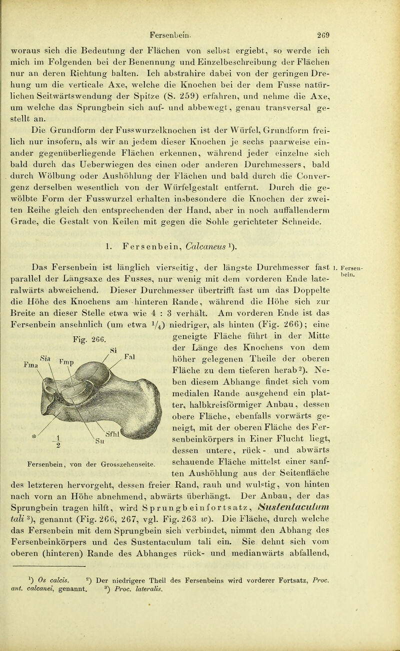 hein. woraus sich die Bedeutung der Flächen von selbst ergiebt, so werde ich mich im Folgenden bei der Benennung und Einzelbeschreibung der Flächen nur an deren Richtung halten. Ich abstrahire dabei von der geringen Dre- hung um die verticale Axe, welche die Knochen bei der dem Fusse natür- lichen Seitwärtswendung der Spitze (S. 259) erfahren, und nehme die Axe, um welche das Sprungbein sich auf- und abbewegt, genau transversal ge- stellt an. Die Grundform der Fusswurzelknochen ist der Würfel, Grundform frei- lich nur insofern, als wir an jedem dieser Knochen je sechs paarweise ein- ander gegenüberliegende Flächen erkennen, während jeder einzelne sich bald durch das Ueberwiegen des einen oder anderen Durchmessers, bald durch Wölbung oder Aushöhlung der Flächen und bald durch die Conver- genz derselben wesentlich von der Wnrfelgestalt entfernt. Durch die ge- wölbte Form der Fusswurzel erhalten insbesondere die Knochen der zwei- ten Reihe gleich den entsprechenden der Hand, aber in noch auffällenderm Grade, die Gestalt von Keilen mit gegen die Sohle gerichteter Schneide. 1. Fersenbein^ Calcaneus^). Das Fersenbein ist länglich vierseitig, der längste Durchmesser fast i. Fersen parallel der Längsaxe des Fusses, nur wenig mit dem vorderen Ende late- ralwärts abweichend. Dieser Durchmesser übertritl't fast um das Doppelte die Höhe des Knochens am hinteren Rande, während die Höhe sich zur Breite an dieser Stelle etwa wie 4 : 3 verhält. Am vorderen Ende ist das Fersenbein ansehnlich (um etwa 1/4) niedriger, als hinten (Fig. 266); eine geneigte Fläche führt in der Mitte der Länge des Knochens von dem höher gelegenen Theile der oberen Fläche zu dem tieferen herab 2). Ne- ben diesem Abhänge findet sich vom medialen Rande ausgehend ein plat- ter, halbkreisförmiger Anbau, dessen obere Fläche, ebenfalls vorwärts ge- neigt, mit der oberen Fläche des Fer- senbeinkörpers in Einer Flucht liegt, dessen untere, rück- und abwärts Fersenbein, von der Grosszehenseite. schauende Fläche mittelst einer sanf- ten Aushöhlung aus der Seitenfläche des letzteren hervorgeht, dessen freier Rand, rauh und wulstig, von hinten nach vorn an Höhe abnehmend, abwärts überhängt. Der Anbau, der das Sprungbein tragen hilft, wird Sprungbeinl'ortsatz, Sustentaculum tali% genannt (Fig. 266, 267, vgl. P'ig. 263 w'). Die Fläche, durch welche das Fersenbein mit dem Sprungbein sich verbindet, nimmt den Abhang des Fersenbeinkörpers und des Sustentaculum tali ein. Sie dehnt sich vom oberen (hinteren) Rande des Abhanges rück- und medianwärts abfallend. ') Os calcis. ^) Der niedrigere Theil des Fersenbeins wird vorderer Fortsatz, Proc. ant. calcanei, genannt. ^) Proc. lateralis.