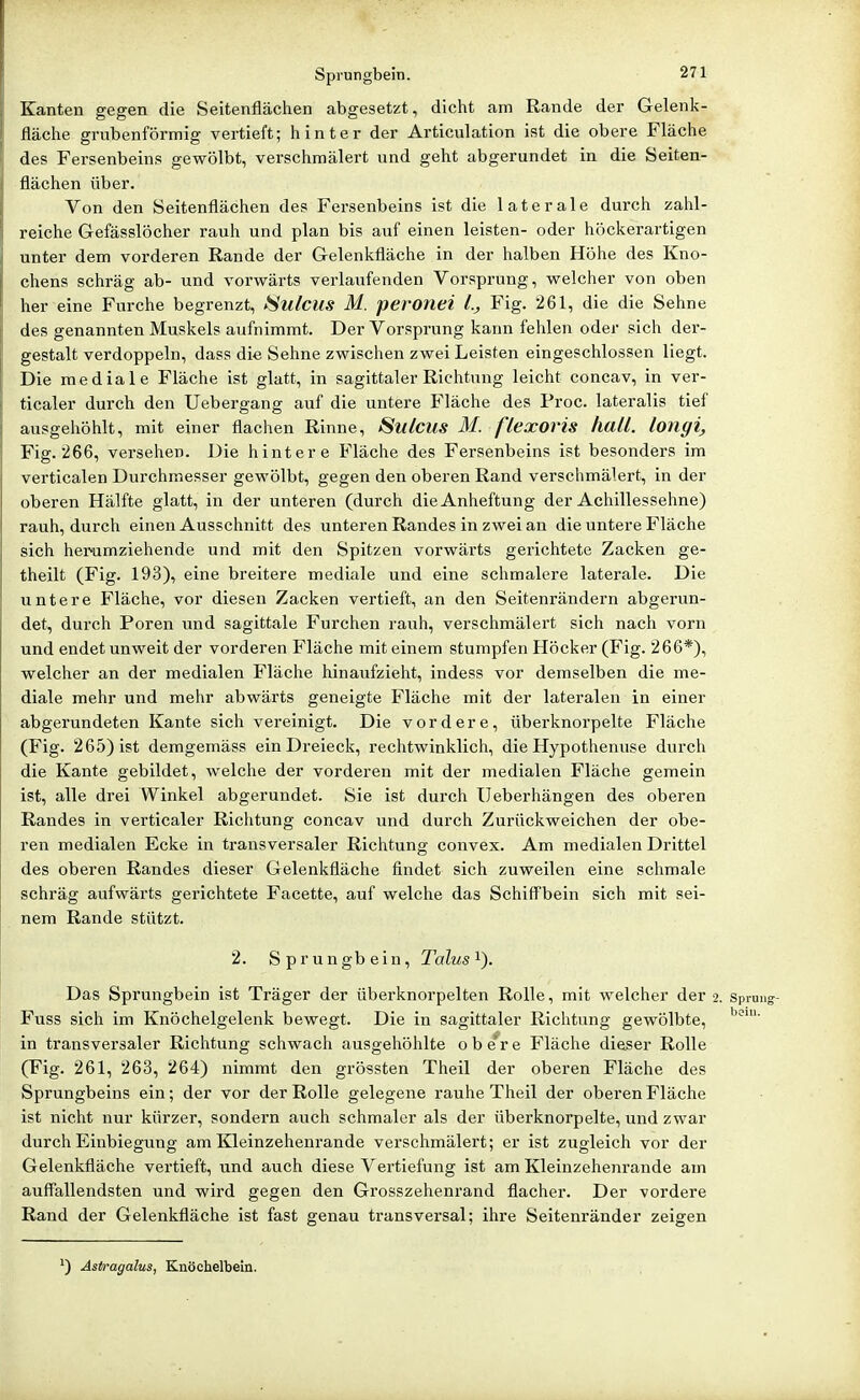 Kanten gegen die Seitenflächen abgesetzt, dicht am Rande der Gelenk- fläche grubenförmig vertieft; hinter der Articulation ist die obere Fläche des Fersenbeins gewölbt, verschmälert und geht abgerundet in die Seiten- flächen über. Von den Seitenflächen des Fersenbeins ist die laterale durch zahl- reiche Gefässlöcher rauh und plan bis auf einen leisten- oder höckerartigen unter dem vorderen Rande der Gelenkfläche in der halben Höhe des Kno- chens schräg ab- und vorwärts verlaufenden Vorsprung, welcher von oben her eine Furche begrenzt, Sulcus M. pet'Onei l., Fig. 261, die die Sehne des genannten Muskels aufnimmt. Der Vorsprung kann fehlen oder sich der- gestalt verdoppeln, dass die Sehne zwischen zwei Leisten eingeschlossen liegt. Die mediale Fläche ist glatt, in sagittaler Richtung leicht concav, in ver- ticaler durch den Uebergang auf die untere Fläche des Proc. lateralis tief ausgehöhlt, mit einer flachen Rinne, Sulcus M. f'lexovis hall, longi, Fig. 266, versehen. Die hintere Fläche des Fersenbeins ist besonders im verticalen Durchmesser gewölbt, gegen den oberen Rand verschmälert, in der oberen Hälfte glatt, in der unteren (durch die Anheftung der Achillessehne) rauh, durch einen Ausschnitt des unteren Randes in zwei an die untere Fläche sich herumziehende und mit den Spitzen vorwärts gerichtete Zacken ge- theilt (Fig. 193), eine breitere mediale und eine schmalere laterale. Die untere Fläche, vor diesen Zacken vertieft, an den Seitenrändern abgerun- det, durch Poren und sagittale Furchen rauh, verschmälert sich nach vorn und endet unweit der vorderen Fläche mit einem stumpfen Höcker (Fig. 266*), welcher an der medialen Fläche hinaufzieht, indess vor demselben die me- diale mehr und mehr abwärts geneigte Fläche mit der lateralen in einer abgerundeten Kante sich vereinigt. Die vordere, überknorpelte Fläche (Fig. 265) ist demgemäss ein Dreieck, rechtwinklich, die Hypothenuse durch die Kante gebildet, welche der vorderen mit der medialen Fläche gemein ist, alle drei Winkel abgerundet. Sie ist durch üeberhängen des oberen Randes in verticaler Richtung concav und durch Zurückweichen der obe- ren medialen Ecke in transversaler Richtung convex. Am medialen Drittel des oberen Randes dieser Gelenkfläche findet sich zuweilen eine schmale schräg aufwärts gerichtete Facette, auf welche das SchifFbein sich mit sei- nem Rande stützt. 2. Sprungbein, Talus i). Das Sprungbein ist Träger der überknorpelten Rolle, mit welcher der 2. Spruug- Fuss sich im Knöchelgelenk bewegt. Die in sagittaler Richtung gewölbte, in transversaler Richtung schwach ausgehöhlte obe'^re Fläche dieser Rolle (Fig. 261, 263, 264) nimmt den grössten Theil der oberen Fläche des Sprungbeins ein; der vor der Rolle gelegene rauhe Theil der oberen Fläche ist nicht nur kürzer, sondern auch schmaler als der überknorpelte, und zwar durch Einbiegung am Kleinzehenrande verschmälert; er ist zugleich vor der Gelenkfläche vertieft, und auch diese Vertiefung ist am Kleinzehenrande am auffallendsten und wird gegen den Grosszehenrand flacher. Der vordere Rand der Gelenkfläche ist fast genau transversal; ihre Seitenränder zeigen ') Asiragalus, Knöchelbein.
