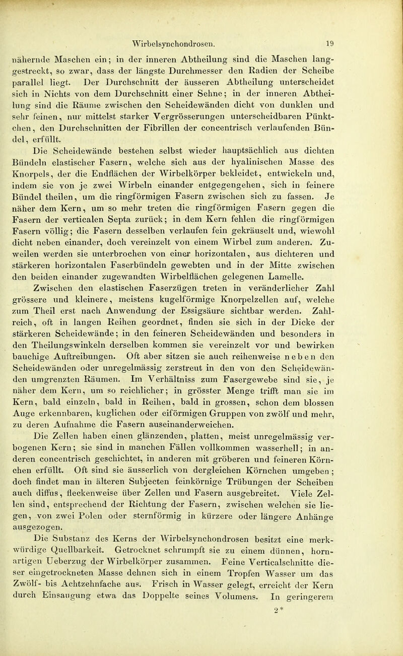 nähernde Maschen ein; in der inneren Abtheilung sind die Maschen lang- gestreckt, so zwar, dass der längste Durchmesser den Radien der Scheibe parallel liegt. Der Durchschnitt der äusseren Abtheilung unterscheidet sich in Nichts von dem Durchschnitt einer Sehne; in der inneren Abthei- lung sind die Räume zwischen den Scheidewänden dicht von dunklen und sehr feinen, nur mittelst starker Vergrösserungen unterscheidbaren Pünkt- chen, den Durchschnitten der Fibrillen der concentrisch verlaufenden Bün- del, erfüllt. Die Scheidewände bestehen selbst wieder hauptsächlich aus dichten Bündeln elastischer Fasern, welche sich aus der hyalinischen Masse des Knorpels, der die Endflächen der Wirbelkörper bekleidet, entwickeln und, indem sie von je zwei Wirbeln einander entgegengehen, sich in feinere Bündel theilen, um die ringförmigen Fasern zwischen sich zu fassen. Je näher dem Kern, um so mehr treten die ringförmigen Fasern gegen die Fasern der verticalen Septa zurück; in dem Kern fehlen die ringförmigen Fasern völlig; die Fasern desselben verlaufen fein gekräuselt und, wiewohl dicht neben einander, doch vereinzelt von einem Wirbel zum anderen. Zu- weilen werden sie unterbrochen von einer horizontalen, aus dichteren und stärkeren horizontalen Faserbündeln gewebten und in der Mitte zwischen den beiden einander zugewandten Wirbelflächen gelegenen Lamelle. Zwischen den elastischen Faserzügen treten in veränderlicher Zahl grössere und kleinere, meistens kugelförmige Knorpelzellen auf, welche zum Theil erst nach Anwendung der Essigsäure sichtbar werden. Zahl- reich, oft in langen Reihen geordnet, finden sie sich in der Dicke der stärkeren Scheidewände; in den feineren Scheidewänden und besonders in den Theilungswinkeln derselben kommen sie vereinzelt vor und bewirken bauchige Auftreibungen. Oft aber sitzen sie auch reihenweise neben den Seheidewänden oder unregelmässig zerstreut in den von den Scheidewän- den umgrenzten Räumen. Im Verhältniss zum Fasergewebe sind sie, je näher dem Kern, um so reichlicher; in grösster Menge trifft man sie im Kern, bald einzeln, bald in Reihen, bald in grossen, schon dem blossen Auge erkennbaren, kuglichen oder eiförmigen Gruppen von zwölf und mehr, zu deren Aufnahme die Fasern auseinanderweichen. Die Zellen haben einen glänzenden, platten, meist unregelmässig ver- bogenen Kern; sie sind in manchen Fällen vollkommen wasserhell; in an- deren concentrisch geschichtet, in anderen mit gröberen und feineren Körn- chen erfüllt. Oft sind sie äusserlich von dergleichen Körnchen umgeben; doch findet man in älteren Subjecten feinkörnige Trübungen der Scheiben auch diffus, fleckenweise über Zellen und Fasern ausgebreitet. Viele Zel- len sind, entsprechend der Richtung der Fasern, zwischen welchen sie lie- gen, von zwei Polen oder sternförmig in kürzere oder längere Anhänge ausgezogen. Die Substanz des Kerns der Wirbelsynchondrosen besitzt eine merk- würdige Quellbarkeit. Getrocknet schrumpft sie zu einem dünnen, horn- artigen Ueberzug der Wirbelkörper zusammen. Feine Verticalschnitte die- ser eingetrockneten Masse dehnen sich in einem Tropfen Wasser um das Zwölf- bis Achtzehnfache aus. Frisch in Wasser gelegt, erreicht der Kern durch Einsaugung etwa das Doppelte seines Volumens. In geringerem 2*