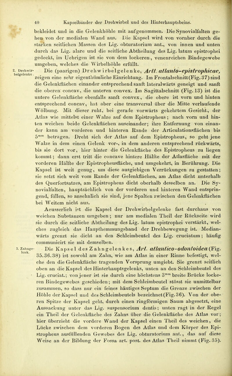 '■ ' bekleidet und in die Gelenkhöhle mit aufgenommen. Die Synovialfalten ge- hen von der medialen Wand aus. Die Kapsel wird von vornher durch die starken seitlichen Massen des Lig. obturatorium ant., von innen und unten durch das Lig. alare und die seitliche Abtheilung des Lig. latum epistrophei gedeckt, im Uebrigen ist sie von dem lockeren, venenreichen Bindegewebe umgeben, welches die Wirbelhöhle erfüllt. 2. Drehwir- Die (paarigen) Drehwirbelgelenke, Ai'tt. utlanlo-epistronhicae, zeigen eine sehr eigenthiimliche Einriclitung. Im Frontalschnitt (Fig. 37) sind die Gelenkfiächen einander entsprechend sanft lateralwärts geneigt und sanft die oberen concav, die unteren convex. Im Sagittalschnitt (Fig. 13) ist die untere Gelenkfläche ebenfalls sanft convex, die obere ist vorn und hinten entsprechend concav, hat aber eine transversal über die Mitte verlaufende Wölbung. Mit dieser ruht, bei gerade vorwärts gekehrtem Gesicht, der Atlas wie mittelst einer Walze auf dem Epistropheus; nach vorn und hin- ten weichen beide Gelenkflächen auseinander; ihre Entfernung von einan- der kann am vorderen und hinteren Rande der Articulationsflächen bis 5 betragen. Dreht sich der Atlas auf dem Epistropheus, so geht jene Walze in dem einen Gelenk vor-, in dem anderen entsprechend rückwärts, bis sie dort vor, hier hinter die Gelenkfläche des Epistropheus zu liegen kommt; dann erst tritt die concave hintere Hälfte der Atlasfläche mit der vorderen Hälfte der Epistropheusfläche, und umgekehrt, in Berührung. Die Kapsel ist weit genug, um diese ausgiebigen Verrückungen zu gestatten; sie setzt sich weit vom Rande der Gelenkfläclien, am Atlas dicht unterhalb des Querfortsatzes, am Epistropheus dicht oberhalb desselben an. Die Sy- novialfalten, hauptsächlich von der vorderen und hinteren Wand entsprin- gend, füllen, so ansehnlich sie sind, jene Spalten zwischen den Gelenkflächen bei Weitem nicht aus. Aeusserlich ist die Kapsel der Drehwirbelgelenke fast durchaus von weichen Substanzen umgeben ; nur am medialen Theil der Rückseite wird sie durch die seitliche Abtheilung des Lig. latum epistrophei verstärkt, wel- ches zugleich das Haupthemmungsband der Drehbewegung ist. Median- wärts grenzt sie dicht an den Schleimbeutel des Lig. cruciatum; häufig coramunicirt sie mit demselben, s.zahnge- Die Kapsel des Z ahngelenkes, Art. atlmitico-odotlloidea {Fig. 35.36.38) ist sowohl am Zahn, wie am Atlas in einer Rinne befestigt, wel- che den die Gelenkfläche tragenden Vorsprung umgiebt. Sie grenzt seitlich oben an die Kapsel des Hinterhauptsgelenks, unten an den Schleimbeutel des ■ Lig. cruciat.; von jener ist sie durch eine höchstens 3° breite Brücke locke- ren Bindegewebes geschieden; mit dem Schleimbeutel stösst sie unmittelbar zusammen, so dass nur ein feines häutiges Septum die Grenze zwischen der Höhle der Kapsel und des Schleimbeutels bezeichnet (Fig. 36). Von der obe- ren Spitze der Kapsel geht, durch einen ringförmigen Saum abgesetzt, eine Aussackung unter das Lig. Suspensorium dentis; unten ragt in der Regel ein Theil der Gelenkfläche des Zahns über die Gelenkfläche des Atlas vor; hier überzieht die vordere Wand der Kapsel einen Theil des weichen, die Lücke zwischen dem vorderen Bogen des Atlas und dem Körper des Epi- stropheus ausfüllenden Gewebes des Lig. obturatorium ant., das auf diese Weise an der Bildung der Fossa art. post. des Atlas Theil nimmt (Fig. 35).