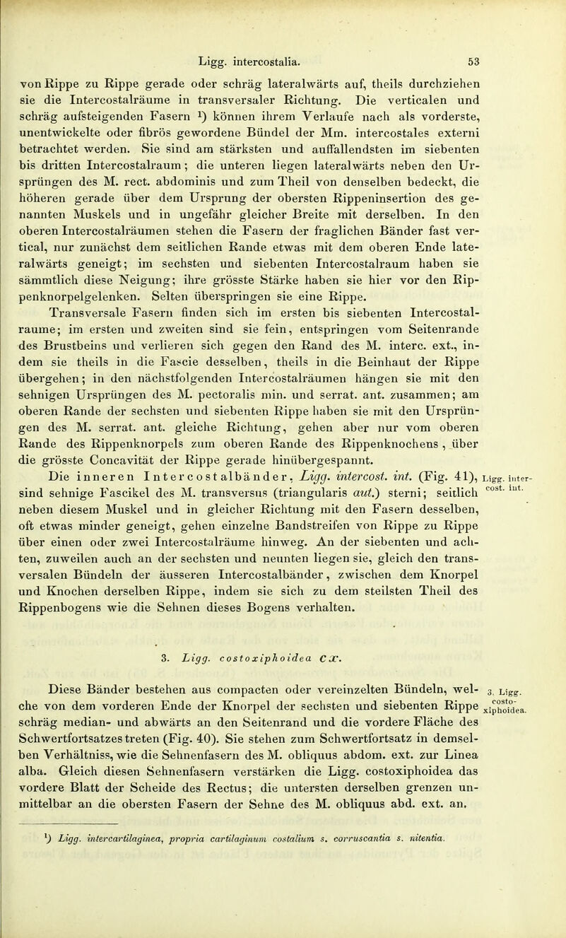 von Rippe zu Rippe gerade oder schräg lateralwärts auf, theils durchziehen sie die Intercostalräume in transversaler Richtung. Die verticalen und schräg aufsteigenden Fasern können ihrem Verlaufe nach als vorderste, unentwickelte oder fibrös gewordene Bündel der Mm. intercostales externi betrachtet werden. Sie sind am stärksten und auffallendsten im siebenten bis dritten Intercostalraum; die unteren liegen lateralwärts neben den Ur- sprüngen des M. rect. abdominis und zum Theil von denselben bedeckt, die höheren gerade über dem Ursprung der obersten Rippeninsertion des ge- nannten Muskels und in ungefähr gleicher Breite mit derselben. In den oberen Intercostalraumen stehen die Fasern der fraglichen Bänder fast ver- tical, nur zunächst dem seitlichen Rande etwas mit dem oberen Ende late- ralwärts geneigt; im sechsten und siebenten Intercostalraum haben sie sämmtlich diese Neigung; ihre grösste Stärke haben sie hier vor den Rip- penknorpelgelenken. Selten überspringen sie eine Rippe. Transversale Fasern finden sich im ersten bis siebenten Intercostal- räume; im ersten und zweiten sind sie fein, entspringen vom Seitenrande des Brustbeins und verlieren sich gegen den Rand des M. interc. ext., in- dem sie theils in die Fascie desselben, theils in die Beinhaut der Rippe übergehen; in den nächstfolgenden Intercostali'äumen hängen sie mit den sehnigen Ursprüngen des M. pectoralis min. und serrat. ant. zusammen; am oberen Rande der sechsten und siebenten Rippe haben sie mit den Ursprün- gen des M. serrat. ant. gleiche Richtung, gehen aber nur vom oberen Rande des Rippenknorpels zum oberen Rande des Rippenknochens , über die grösste Concavität der Rippe gerade hinübergespannt. Die inneren Intercostalbänder, Ligg. intercost. int. (Fig. 41), Ligg. inter- sind sehnige Fascikel des M. transversus (triangularis aut.) sterni; seitlich neben diesem Muskel und in gleicher Richtung mit den Fasern desselben, oft etwas minder geneigt, gehen einzelne Bandstreifen von Rippe zu Rippe über einen oder zwei Intercostalräume hinweg. An der siebenten und ach- ten, zuweilen auch an der sechsten und neunten liegen sie, gleich den trans- versalen Bündeln der äusseren Intercostalbänder, zwischen dem Knorpel und Knochen derselben Rippe, indem sie sich zu dem steilsten Theil des Rippenbogens wie die Sehnen dieses Bogens verhalten. 3. Ligg- costoxiphoidea C X. Diese Bänder bestehen aus compacten oder vereinzelten Bündeln, wel- 3 Ligg. che von dem vorderen Ende der Knorpel der sechsten und siebenten Rippe xiphoidea schräg median- und abwärts an den Seitenrand und die vordere Fläche des Schwertfortsatzes treten (Fig. 40). Sie stehen zum Schwertfortsatz in demsel- ben Verhältniss, wie die Sehnenfasern des M. obliquus abdom. ext. zur Linea alba. Gleich diesen Sehnenfasern verstärken die Ligg. costoxiphoidea das vordere Blatt der Scheide des Rectus; die untersten derselben grenzen un- mittelbar an die obersten Fasern der Sehne des M. obliquus abd. ext. an. Ligg. intercartilaginea, propria cartilaginuin costalium s. corruscantia s. nitentia.