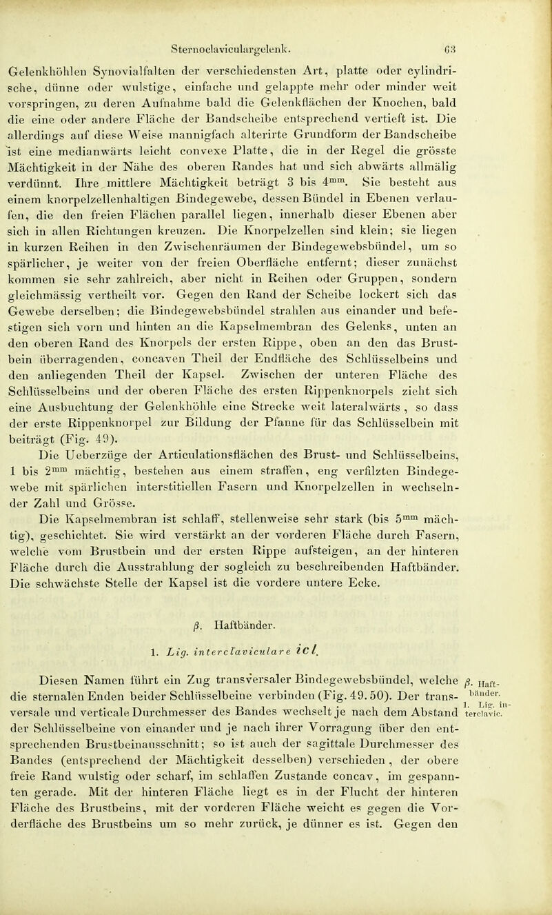 Gelenkhöhlen Synovialfalten der verschiedensten Art, platte oder cylindri- sche, dünne oder wnlptige, einfache und gelappte mehr oder minder weit vorspringen, zu deren Aufnahme bald die Gelenkflächen der Knochen, bald die eine oder andere Fläche der Bandscheibe entsprechend vertieft ist. Die allerdings auf diese Weise mannigfach alterirte Gi'undform der Bandscheibe ist eine medianwärts leicht convexe Platte, die in der Regel die grösste Mächtigkeit in der Nähe des oberen Randes hat und sich abwärts allmälig verdünnt. Ihre mittlere Mächtigkeit beträgt 3 bis 4™™. Sie besteht aus einem knorpelzellenhaltigen Bindegewebe, dessen Bündel in Ebenen verlau- fen, die den freien Flächen parallel liegen, innerhalb dieser Ebenen aber sich in allen Richtungen kreuzen. Die Knorpelzellen sind klein; sie liegen in kurzen Reihen in den Zwischenräumen der Bindegewebsbündel, um so spärlicher, je weiter von der freien Oberfläche entfernt; dieser zunächst kommen sie sehr zahlreich, aber nicht in Reihen oder Gruppen, sondern gleichmässig vertheilt vor. Gegen den Rand der Scheibe lockert sich das Gewebe derselben; die Bindegewebsbündel strahlen aus einander und befe- stigen sich vorn und hinten an die Kapselmembran des Gelenks, unten an den oberen Rand des Knorpels der ersten Rippe, oben an den das Brust- bein überragenden, concaven Theil der Endfläche des Schlüsselbeins und den anliegenden Theil der Kapsel. Zwischen der unteren Fläche des Schlüsselbeins und der oberen Fläche des ersten Rippenknorpels zieht sich eine Ausbuchtung der Gelenkhühle eine Strecke weit lateralwärts , so dass der erste Rippenknorpel zur Bildung der Pfanne für das Schlüsselbein mit beiträgt (Fig. 49). Die Ueberzüge der Articulationsflächen des Brust- imd Schlüsselbeins, 1 bis 2™™ mächtig, bestehen aus einem straff'en, eng verfilzten Bindege- webe mit spärlichen interstitiellen Fasern und Knorpelzellen in wechseln- der Zahl und Grösse. Die Kapselmembran ist schlaff, stellenweise sehr stark (bis 5™ mäch- tig), geschichtet. Sie wird verstärkt an der vorderen Fläche durch Fasern, welche vom Brustbein und der ersten Rippe aufsteigen, an der hinteren Fläche durch die Ausstrahlung der sogleich zu beschreibenden Haftbänder. Die schwächste Stelle der Kapsel ist die vordere untere Ecke. ß. Haftbänder. 1. Lig. interclaviculare ICl. Diesen Namen führt ein Zug transversaler Bindegewebsbündel, welche ß. it^ft- die sternalen Enden beider Schlüsselbeine verbinden (Fig. 49.50). Der trans- versale und verticale Durchmesser des Bandes wechselt je nach dem Abstand terciavic. der Schlüsselbeine von einander und je nach ihrer Vorragung über den ent- sprechenden Brustbeinausschnitt; so ist auch der sagittale Durchmesser des Bandes (entsprechend der Mächtigkeit desselben) verschieden , der obere freie Rand wulstig oder scharf, im schlaffen Zustande concav, im gespann- ten gerade. Mit der hinteren Fläche liegt es in der Flucht der hinteren Fläche des Brustbeins, mit der vorderen Fläche weicht es gegen die Vor- derfläche des Brustbeins um so mehr zurück, je dünner es ist. Gegen den