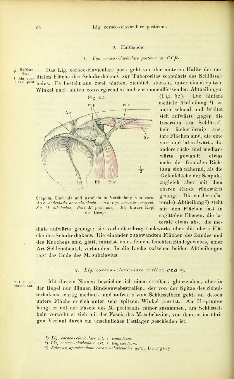 Haftbäii- der. ß. Haflbiinder. 1. Li(/. coraco - clavicvlare posticum m. CCj). Das Lig. coraco-claviculare po?t. geht von der hinteren Hälfte der ine- 1. Lig. cor.- dialen Fläche des Schulterhakens zur Tuberositas scapolaris des Schliissel- ciavic.-post. |jgjjjg_ besteht aus zwei platten, ziemlich starken, unter einem spitzen Winkel nach hinten convergirenden und zusammenfliessenden Abtheilungen (Fig. 52). Die hintere mediale Abtheilung i) ist unten schmal und breitet sich aufwärts gegen die Insertion am Schlüssel- bein fächerförmig aus; ihre Flächen sind, die eine vor- und lateralwärts, die andere rück- und median- wärts gewandt, etwas mehr der frontalen Rich- tung sich nähernd, als die Gelenkfläche der Scapula, zugleich aber mit dem oberen Rande rückwärts geneigt. Die vordere (la- terale) Abtheilung 2) steht mit den Flächen fast in sagittalen Ebenen, die la- terale etwas ab-, die me- diale aufwärts geneigt; sie verläuft schräg rückwärts über die obere Flä- che des Schulterhakens. Die einander zugewandten Flächen des Bandes und des Knochens sind glatt, mittelst eines feinen, feuchten Bindegewebes, einer Art Schleimbeutel, verbunden. In die Lücke zwischen beiden Abtheilungen ragt das Ende des M. subclavius. Scapula, Clavicula und Armbein in Verbindung von vorn. Aac Articulatio acromio-clavic. a c Lig. acroniio-coracoid. Sc M. subclavius. Pmi M. pect, min, Bb kurzer Kopf des Biceps. 2. Lig. coraco - ch ila re anticum CCU 3). 2. Lig. cor clavic. aiit. Mit diesem Namen bezeichne ich einen straffen, glänzenden, aber in der Regel nur dünnen Bindegewebsstreifen, der von der Spitze des Schul- terhakens schräg median- und aufwärts zum Schlüsselbein geht, an dessen untere Fläche er sich unter sehr spitzem Winkel ansetzt. Am Ursprünge hängt er mit der Fascie des M. pectoralis minor zusammen, am Schlüssel- bein verwebt er sich mit der Fascie des M. subclavius, von dem er im übri- gen Verlauf durch ein ansehnliches Fettlager geschieden ist. Lig. coraco - claviculare int. s. conoideum. Lig, coraco - claviculare ext. s trapezoideum. ^) Faisceau aponevrotique coraco - claviculaire antcr. Bourgery.