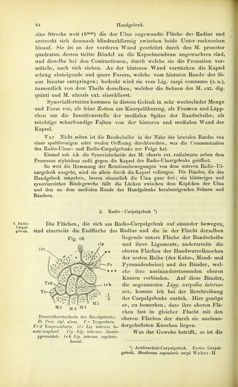 eine Strecke weit (6) die der Ulna zugewandte Fläche des Radius und erstreckt sich demnach blindsackförmig zwischen beide Unter ,rmknochen hinauf. Sie ist an der vorderen Wand geschützt durch den M. pronator quadratus, dessen tiefste Bündel an die Kapselmembran angewachsen sind, und dieselbe bei den Contractionen, durch welche sie die Pronation ver- mitteln, nach sich ziehen. An der hinteren Wand verstärken die Kapsel schräg absteigende und quere Fasern, welche vom hinteren Rande des Si- nus lunatus entspringen; bedeckt wird sie vom Lig. carpi commune (s. u.), namentlich von dem Theile desselben, welcher die Sehnen des M. ext. dig. quinti und M. ulnaris ext. einschliesst. Synovialfortsätze kommen in diesem Gelenk in sehr wechselnder Menge und Form vor, als feine Zotten am Knorpelüberzug, als Frairzen und Läpp- chen um die Insertionsstelle der medialen Spitze der Bandscheibe, als mächtige scharfrandige Falten von der hinteren und medialen Wand der Kapsel. Var. Nicht selten ist die Bandscheibe in der Nähe des lateralen Randes von einer spaltlonnigen oder ovalen Oeffnung durchbrochen, was die Coinmunication des Radio-Uhiar- und Radio-Carpalgelenks zur Folge hat. Einmal sah ich die Synovialscheide des M. ulnaris ext. radialwarts neben dem Processus styloideus radü gegen die Kapsel des Radio-Ülnargelenks geöffnet. So weit die Hemmung der Rotationsbewegungen von dem unteren Radio-Ul- nargelenk ausgeht, wird sie allein durch die Kapsel vollzogen. Die Bänder, die das Handgelenk umgeben, lassen sämmtlich die ülna ganz frei; ein blätteriges und synoviareiches Bindegewebe füllt die Lücken zwischen dem Köpfchen der Ulna und den an dem medialen Rande des Handgelenks herabsteigenden Sehnen und Bändern. 2. Radio - Carpalgelenk z.^Kadio- Die Flächen, die sich am Radio-Carpalgelenk auf einander bewegen, geieuk. sind einerseits die Endfläche des Radius und die in der Flucht derselben liegende untere Fläche der Bandscheibe und ihres Ligaments, andererseits die oberen P'lächen der Handwurzelknochen der ersten Reihe (des Kahn-, Mond- und Pyramidenbeins) und der Bänder, wel- che ihre aneinanderstossenden oberen Kanten verbinden. Auf diese Bänder, die sogenannten Ligg. carpalia interos- sea, komme ich bei der Beschreibung des Carpalgelenks zurück. Hier genüge es, zu bemerken, dass ihre oberen Flä- chen fast in gleicher Flucht mit den oberen Flächen der durch sie aneinan- Trd Trapezoidoein. ils Lig. inteross. lu- dergehefteten Knochen liegen. nato-scaphoid. ilp Lig. inteross. lunato- WaS das Gewebe betriflt, SO ist die pyramidale, ich Lig. inteross. capitato- hamat. ') Antibrachial-Carpalgelenk. Erstes Carpal- gelenk. Membrana capsularis carpi Weber-H. Fig. G8. Frontaldurchschiiitt des Handgelenks. Ps Proc styl, ulnae. Tr Trapezbein.