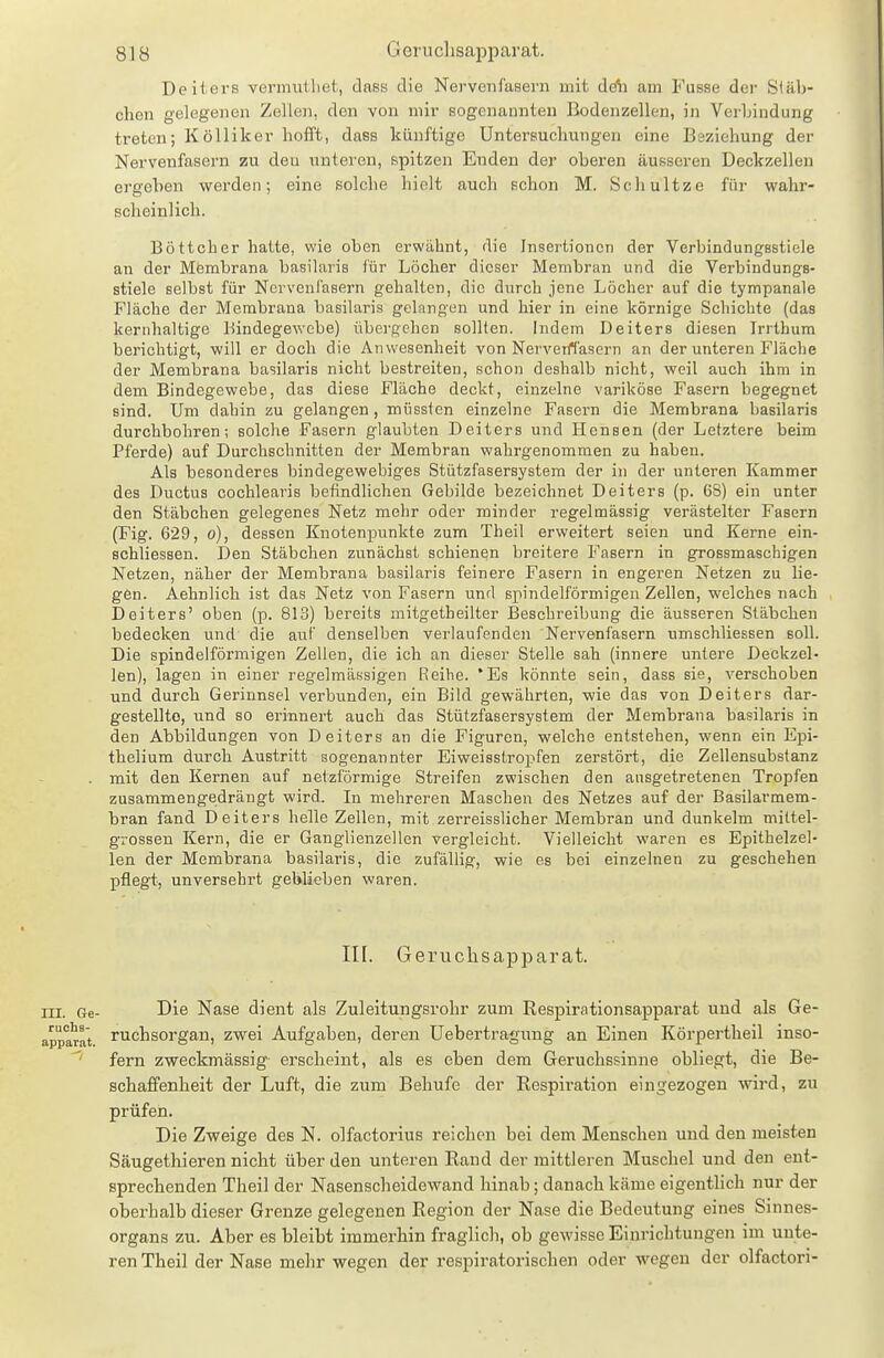 Deiters vermutliet, dass die Nervenfasern mit dö\i am Fusse der Stäb- chen gelegenen Zellen, den von mir sogenannten Bodenzellen, in Verbindung treten; Kölliker hofft, dass künftige Untersuchungen eine Bäzieliung der Nervenfasern zu den unteren, spitzen Enden der oberen äusseren Deckzellen ergeben werden; eine solche hielt auch schon M. Schultze für wahr- scheinlich. Böttcher hatte, wie oben erwähnt, die Insertionen der Verbindungsstiele an der Membrana basilaris für Löcher dieser Membran und die Verbindungs- stiele selbst für Norvenlasern gehalten, die durch jene Löcher auf die tympanale Fläche der Membrana basilaris gelangen und hier in eine körnige Schichte (das kernhaltige Bindegewebe) übei-gehen sollten. Indem Deiters diesen Irrthum berichtigt, will er doch die Anwesenheit von Nerverrtasern an der unteren Fläche der Membrana basilaris nicht bestreiten, schon deshalb nicht, weil auch ihm in dem Bindegewebe, das diese Fläche deckt, einzelne variköse Fasern begegnet sind. Um dahin zu gelangen , müssten einzelne Fasern die Membrana basilaris durchbohren; solche Fasern glaubten Deiters und Hensen (der Letztere beim Pferde) auf Durchschnitten der Membran wahrgenommen zu haben. Als besonderes bindegewebiges Stützfasersystem der in der unteren Kammer des Ductus cochlearis befindlichen Gebilde bezeichnet Deiters (p. 68) ein unter den Stäbchen gelegenes Netz mehr oder minder regelmässig verästelter Fasern (Fig. 629, o), dessen Knotenpunkte zum Theil erweitert seien und Kerne ein- schliessen. Den Stäbchen zunächst schienen breitere Fasern in grossmaschigen Netzen, näher der Membrana basilaris feinere Fasern in engeren Netzen zu lie- gen. Aehnlich ist das Netz von Fasern und spindelförmigen Zellen, welches nach Deiters' oben (p. 813) bereits mitgetheilter Beschreibung die äusseren Stäbchen bedecken und die auf denselben verlaufenden Nervenfasern umschliessen soll. Die spindelförmigen Zellen, die ich an dieser Stelle sah (innere untere Deckzel- len), lagen in einer regelmä.ssigen Reihe. *Es könnte sein, dass sie, verschoben und durch Gerinnsel verbunden, ein Bild gewährten, wie das von Deiters dar- gestellte, und so erinnert auch das Stützfasersystem der Membrana basilaris in den Abbildungen von Deiters an die Figuren, welche entstehen, wenn ein Epi- thelium durch Austritt sogenannter Eiweisstropfen zerstört, die Zellensubstanz mit den Kernen auf netzförmige Streifen zwischen den ausgetretenen Tropfen zusammengedrängt wird. In mehreren Maschen des Netzes auf der Basilarmem- bran fand Deiters helle Zellen, mit zerreisslicher Membran und dunkelm mittel- grossen Kern, die er Ganglienzellen vergleicht. Vielleicht waren es Epithelzel- len der Membrana basilaris, die zufällig, wie es bei einzelnen zu geschehen pflegt, unversehrt geblieben waren. III. Geruchsapparat. III. Ge- Die Nase dient als Zuleitungsrohr zum Respirationsapparat und als Ge- appara't Tuchsorgan, zwei Aufgaben, deren üebertragung an Einen Körpertheil inso- fern zweckmässig erscheint, als es eben dem Geruchssinne obliegt, die Be- schaffenheit der Luft, die zum Behufe der Respiration eingezogen wird, zu prüfen. Die Zweige des N. olfactorius reichen bei dem Menschen und den meisten Säugethieren nicht über den unteren Rand der mittleren Muschel und den ent- sprechenden Theil der Nasenscheidewand hinab; danach käme eigentlich nur der oberhalb dieser Grenze gelegenen Region der Nase die Bedeutung eines Sinnes- organs zu. Aber es bleibt immerhin fraglich, ob gewisse Einrichtungen im unte- ren Theil der Nase mehr wegen der respiratorischen oder wegen der olfactori-
